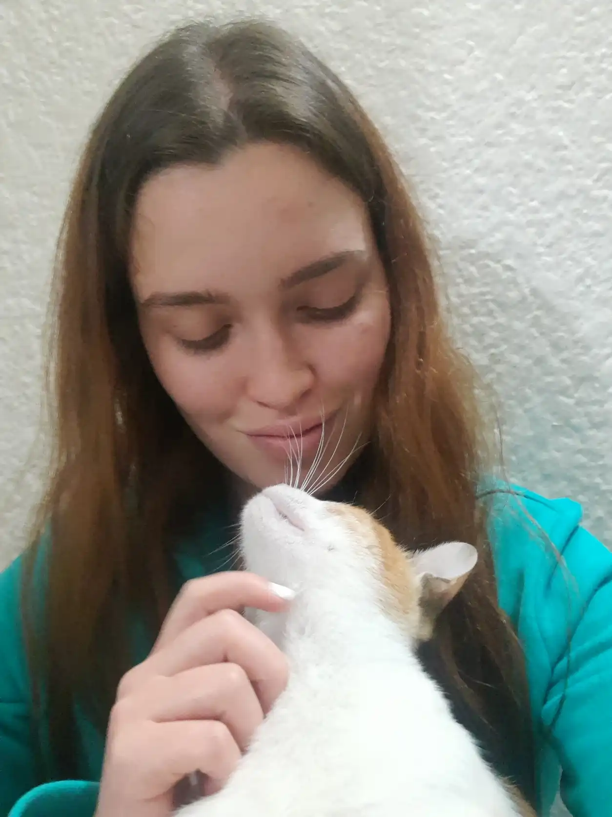 image-7