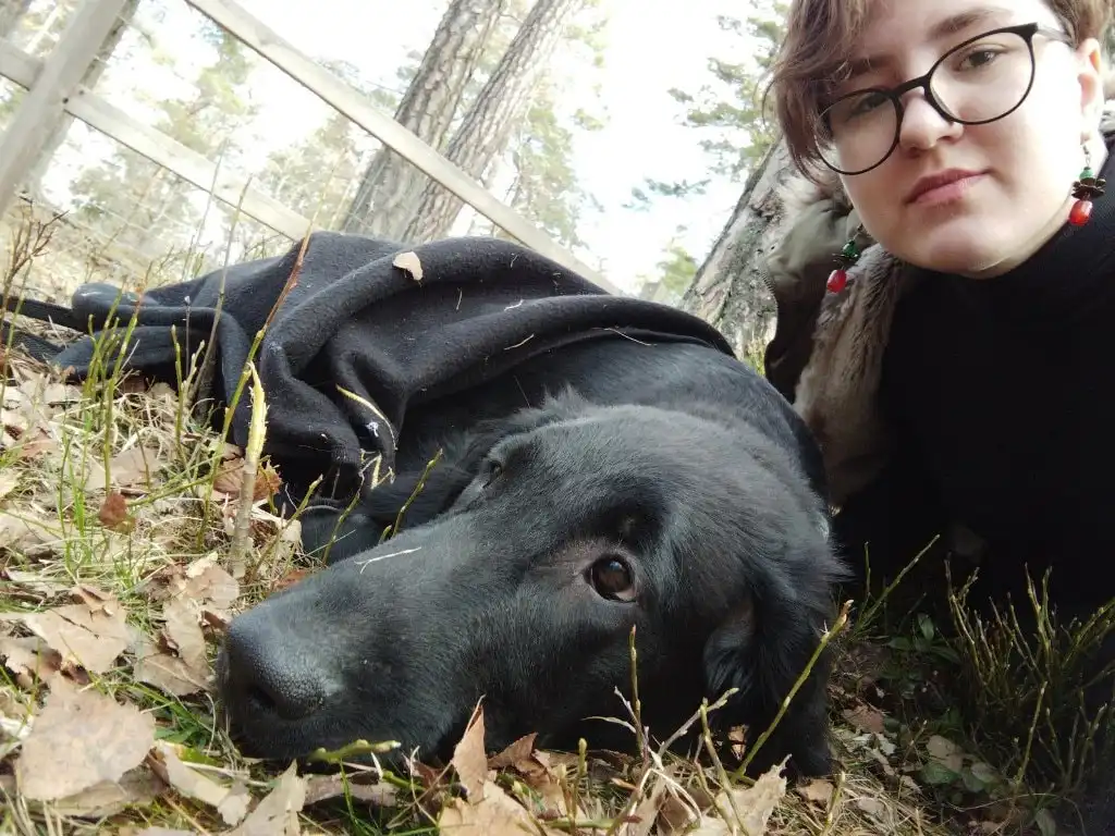 image-6