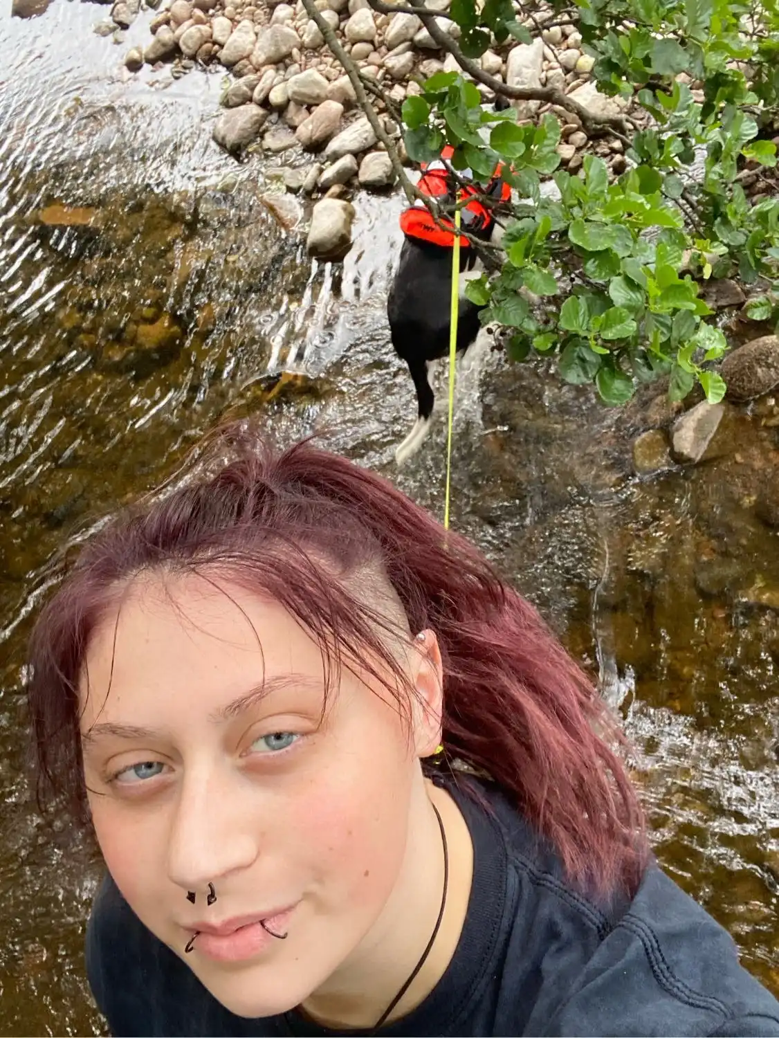image-8