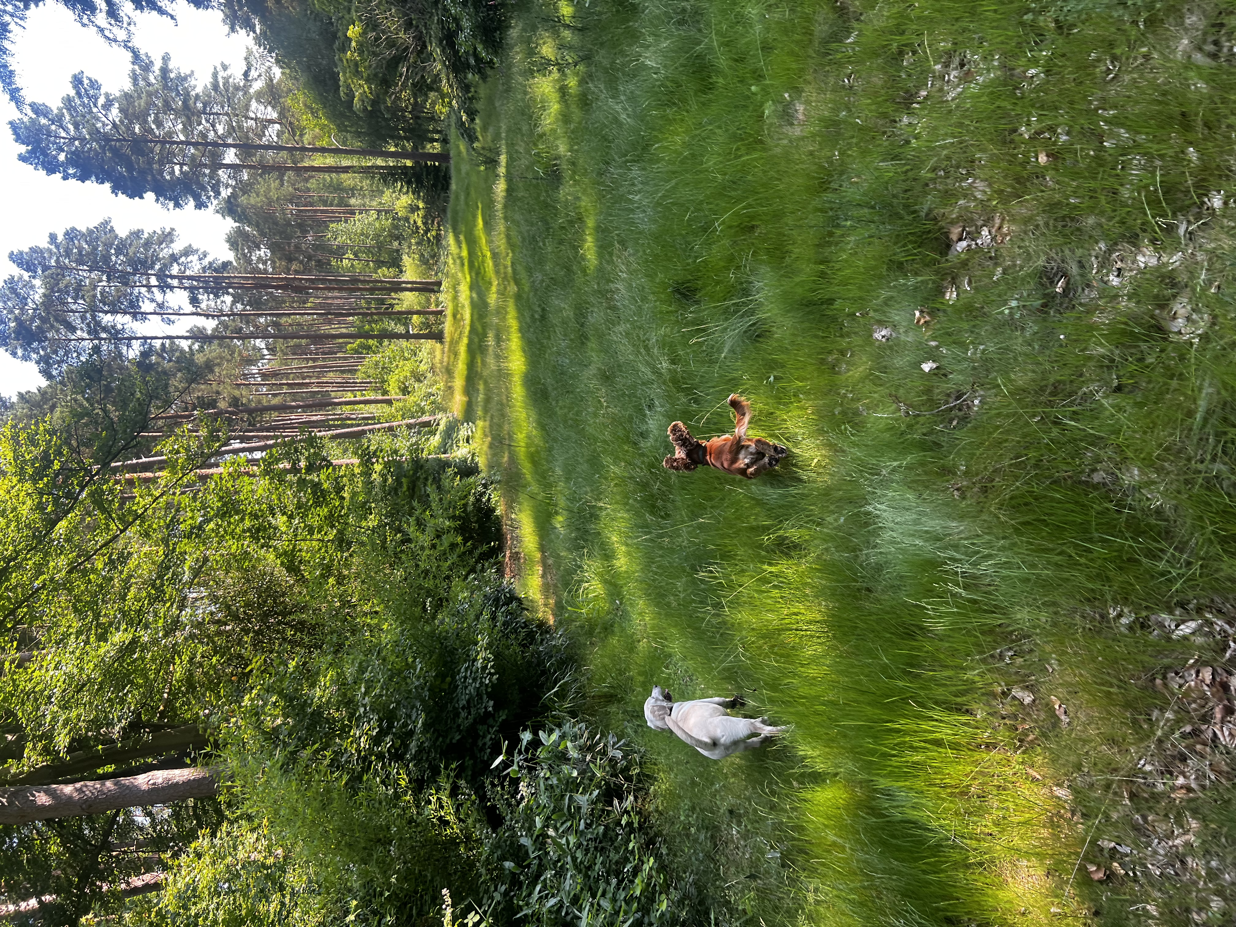 image-28