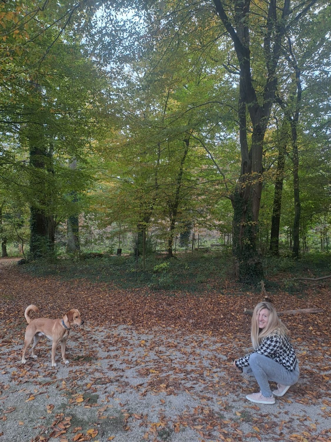 image-2