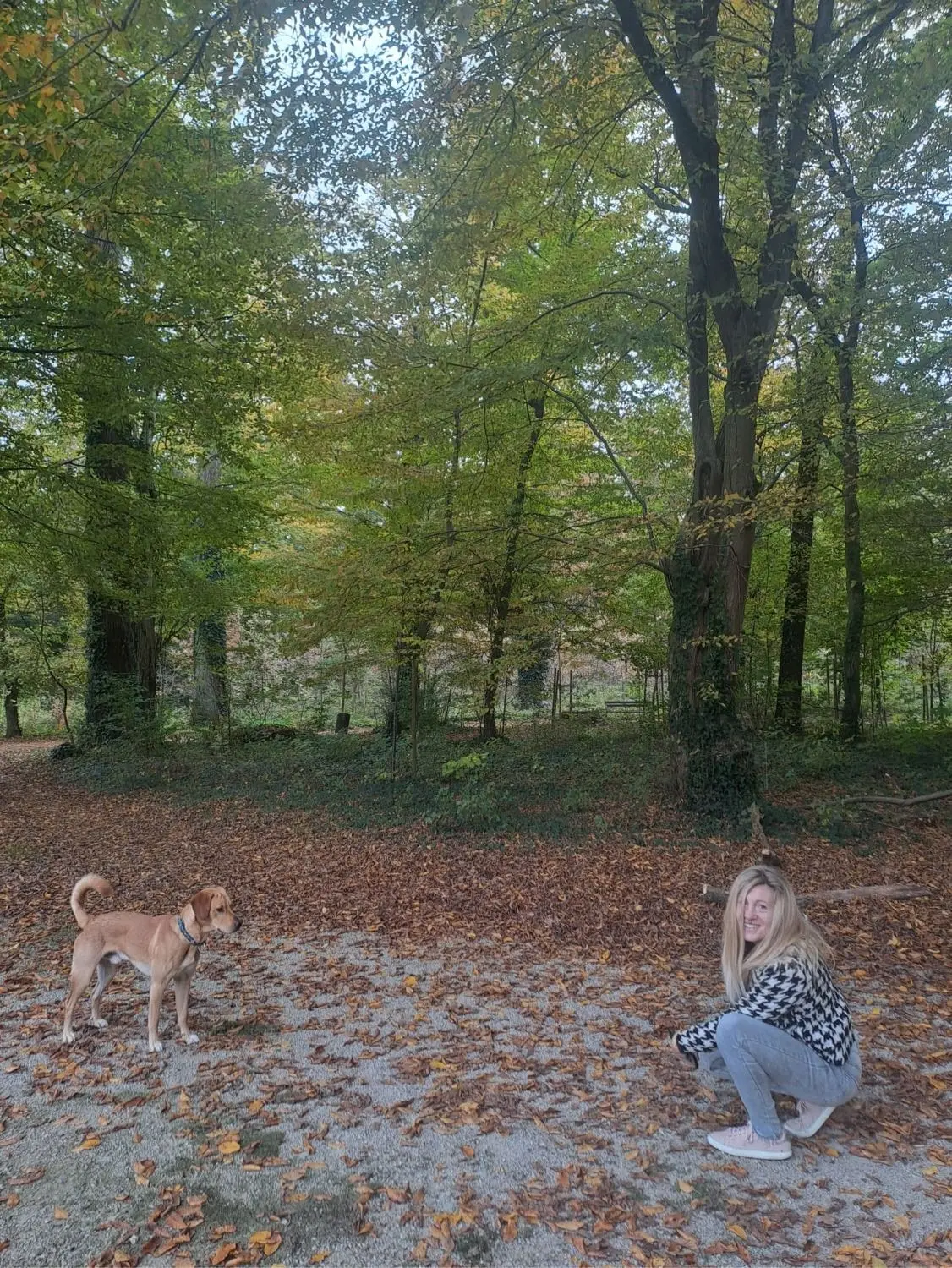 image-2