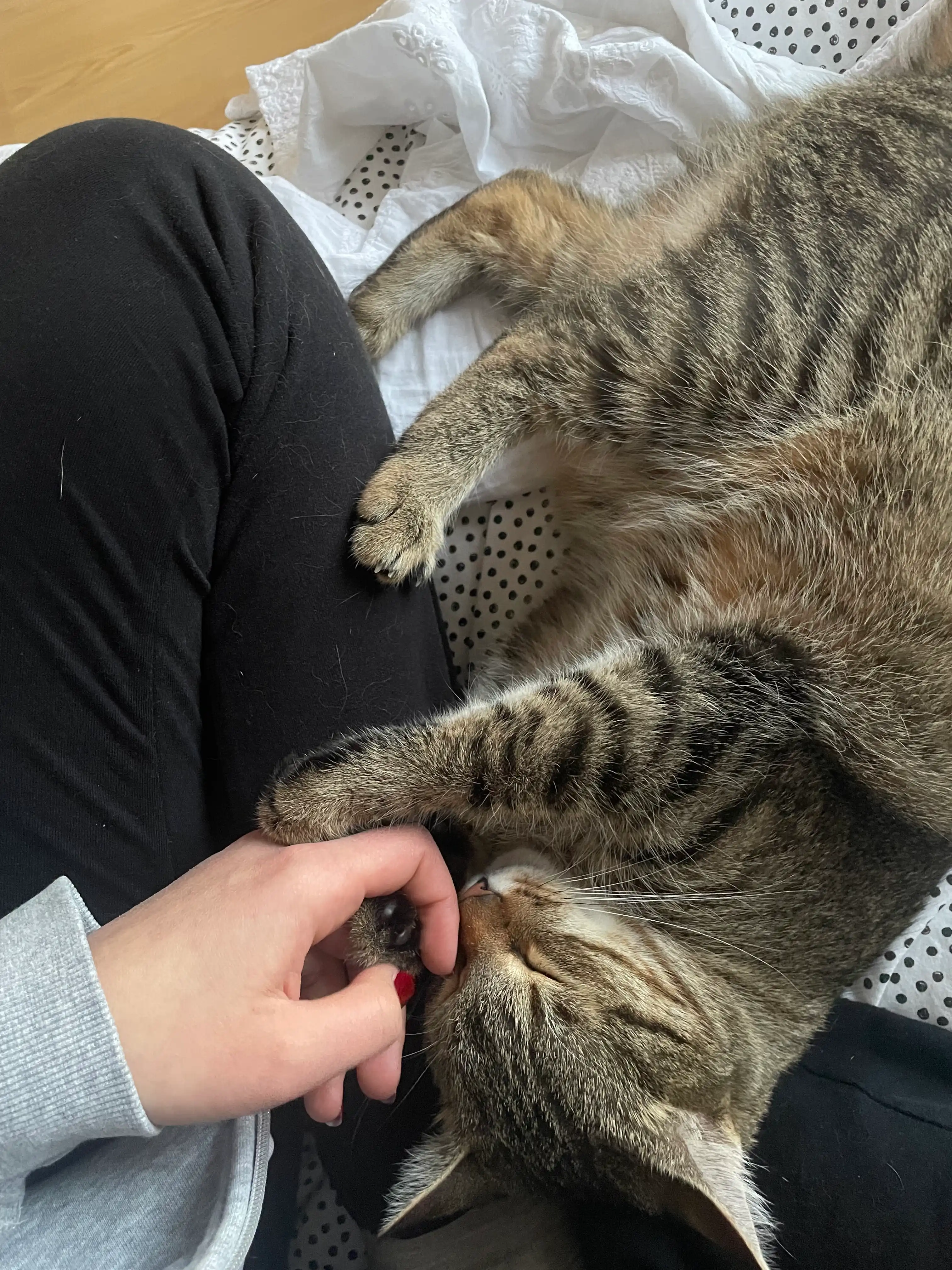 image-8