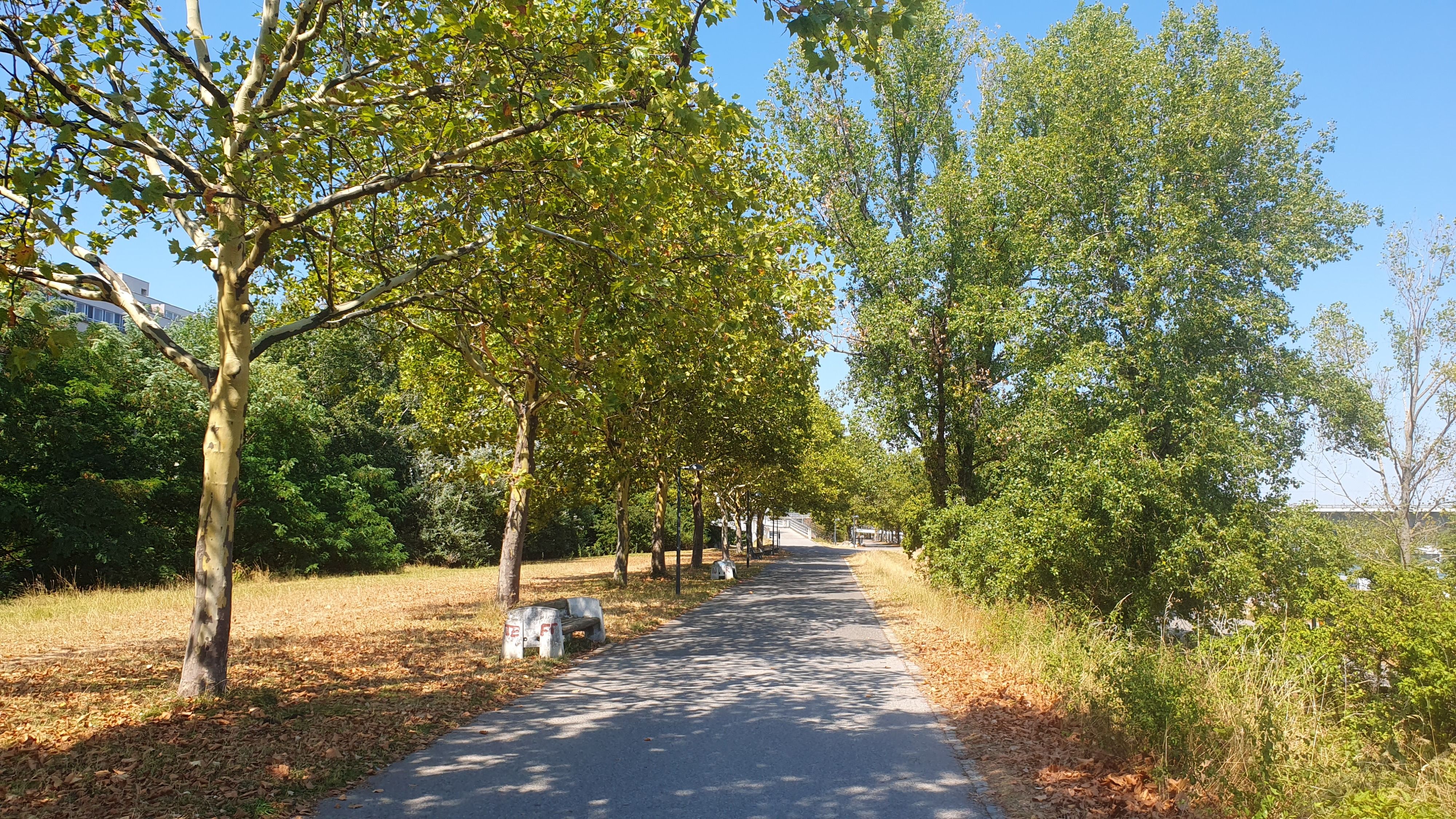 image-36