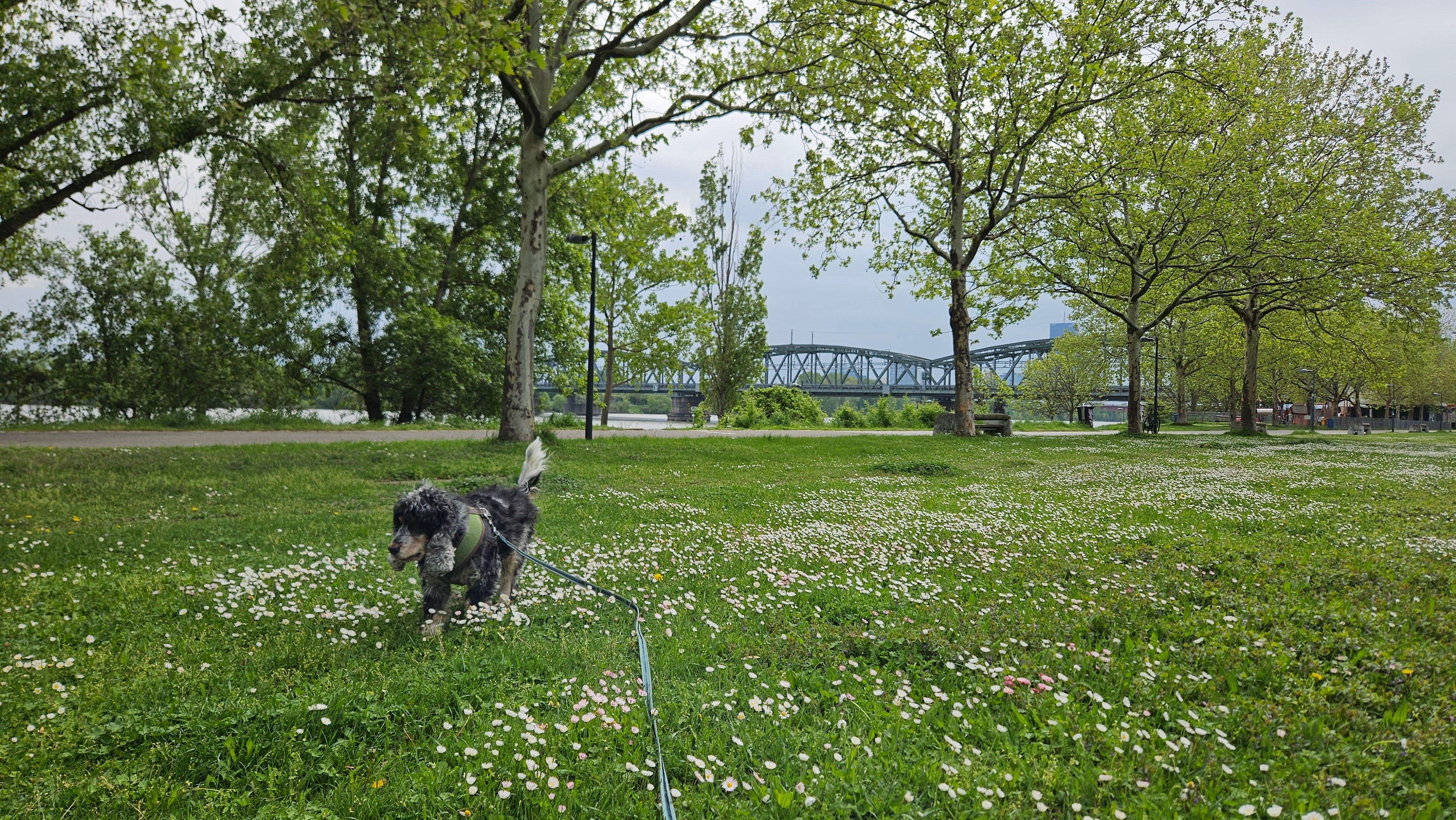 image-41