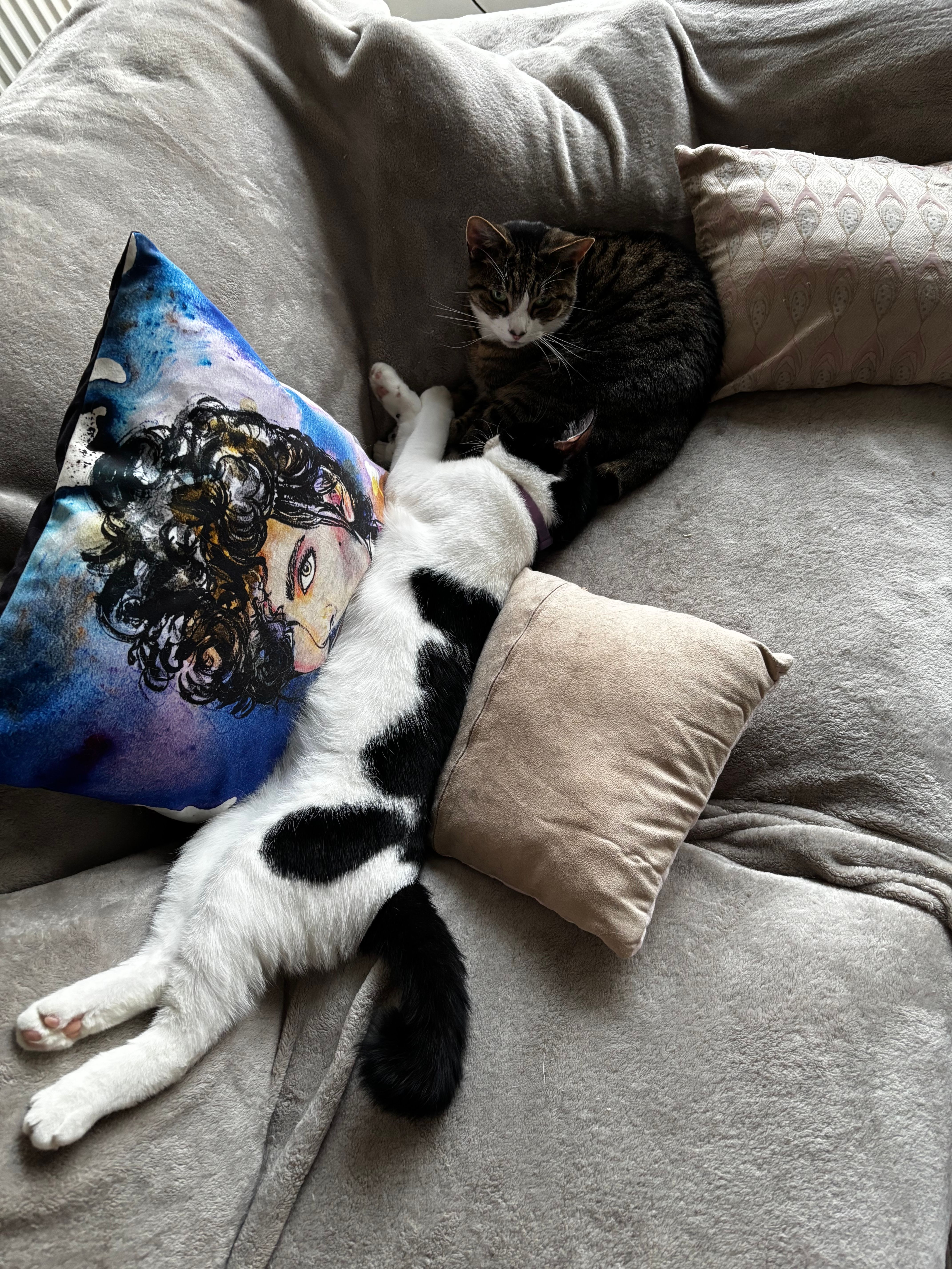 image-6