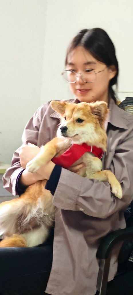 image-4