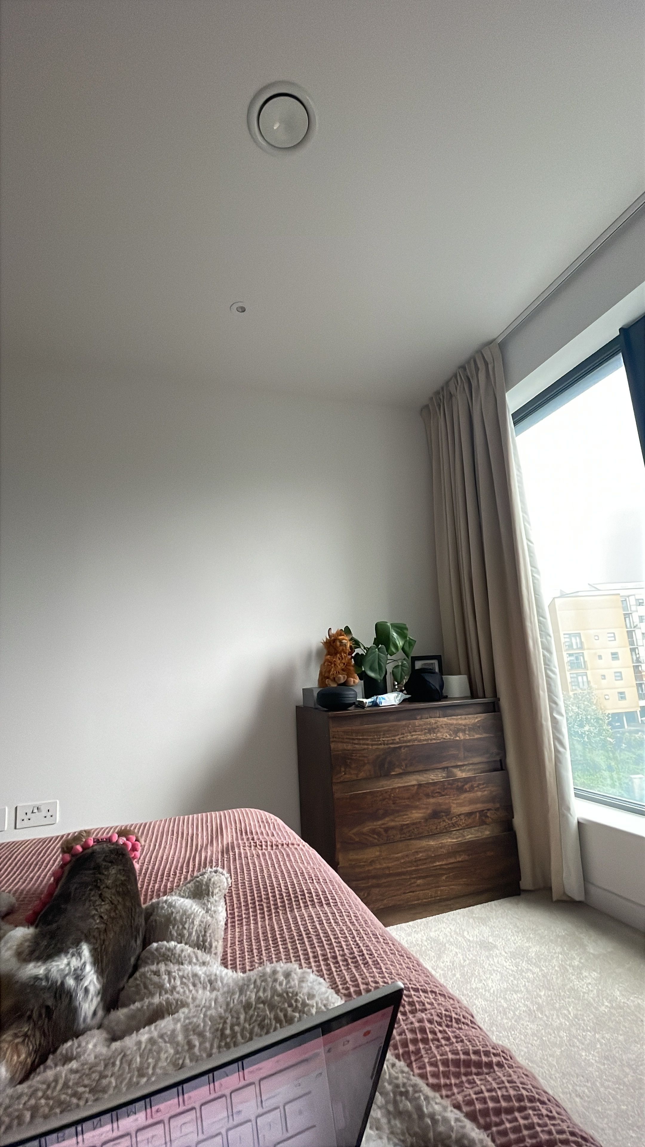image-18