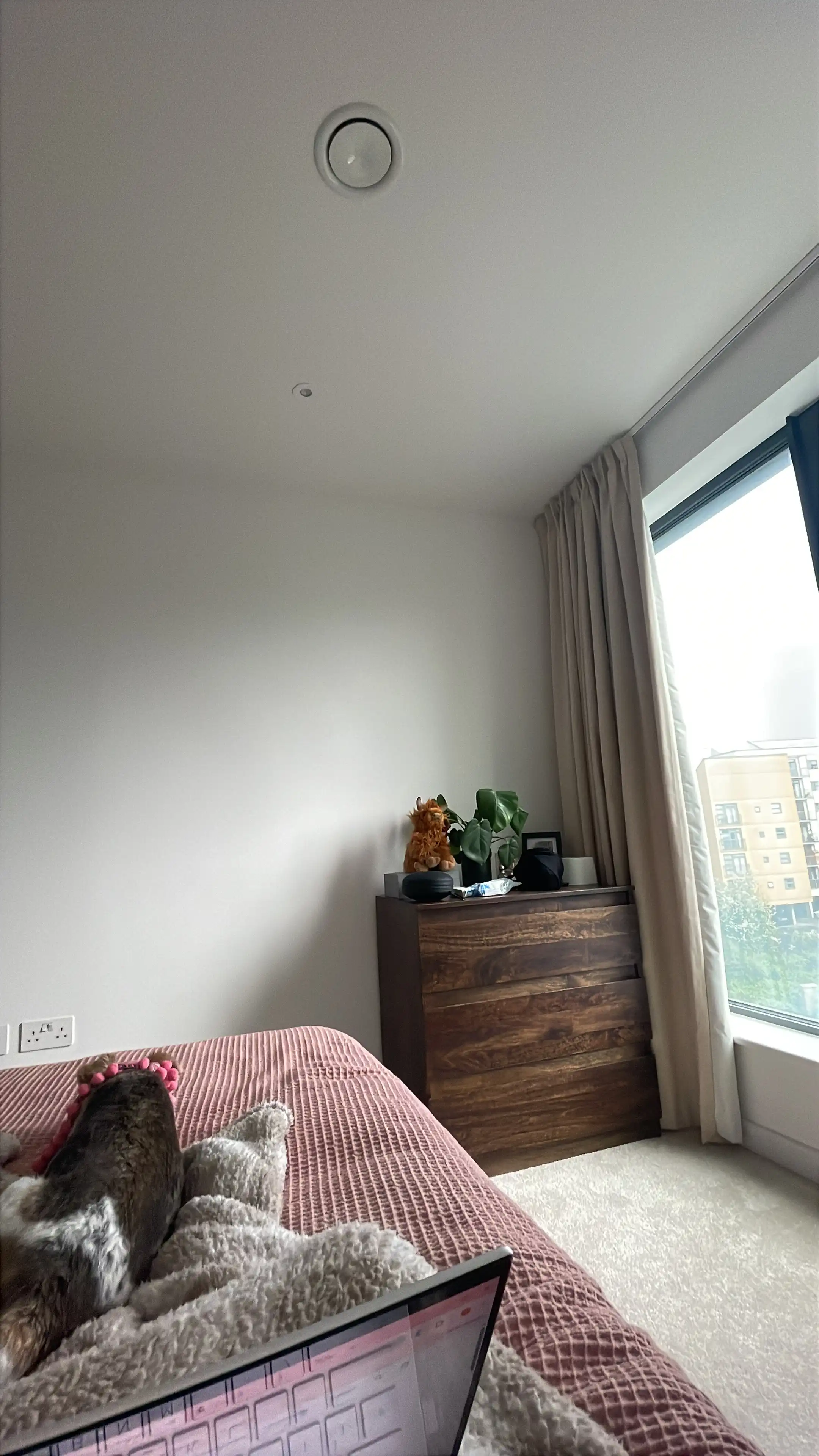 image-18