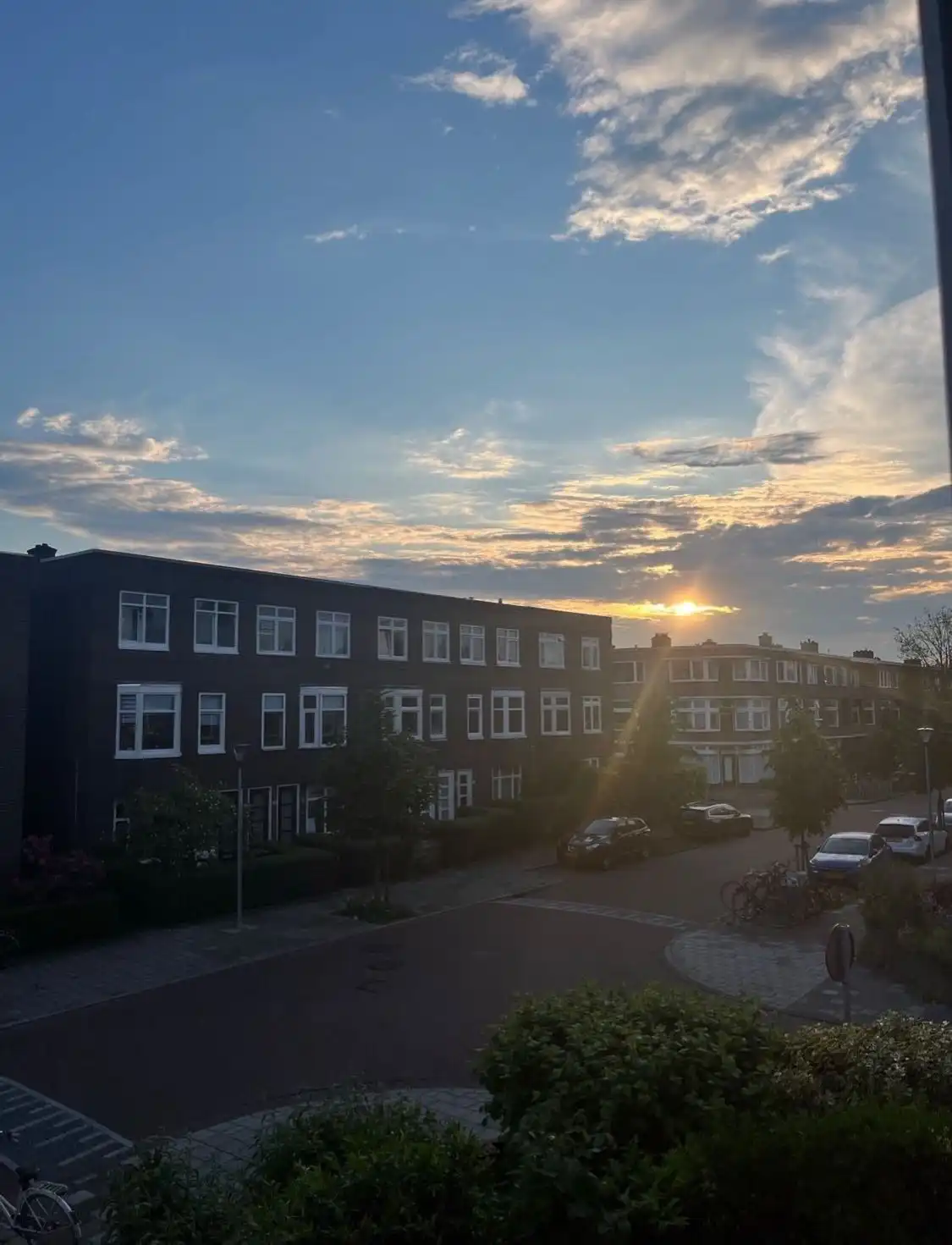 image-20