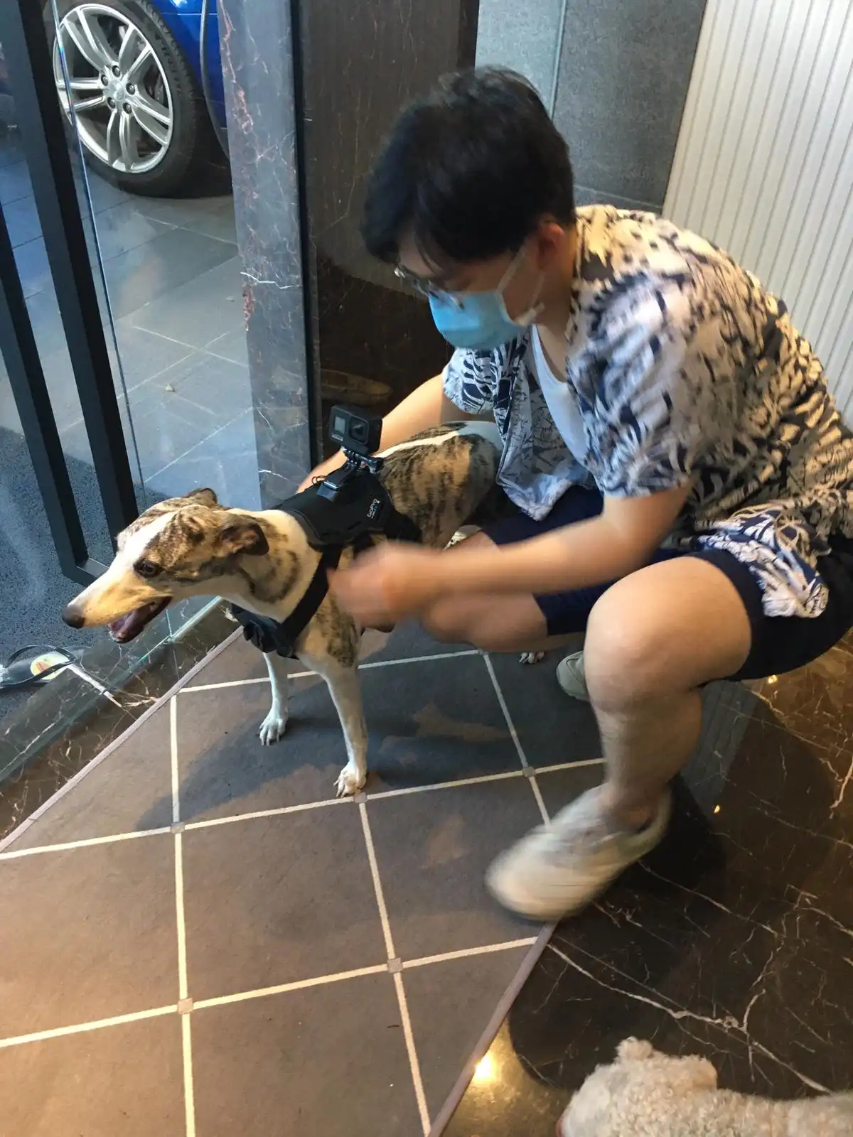 image-8