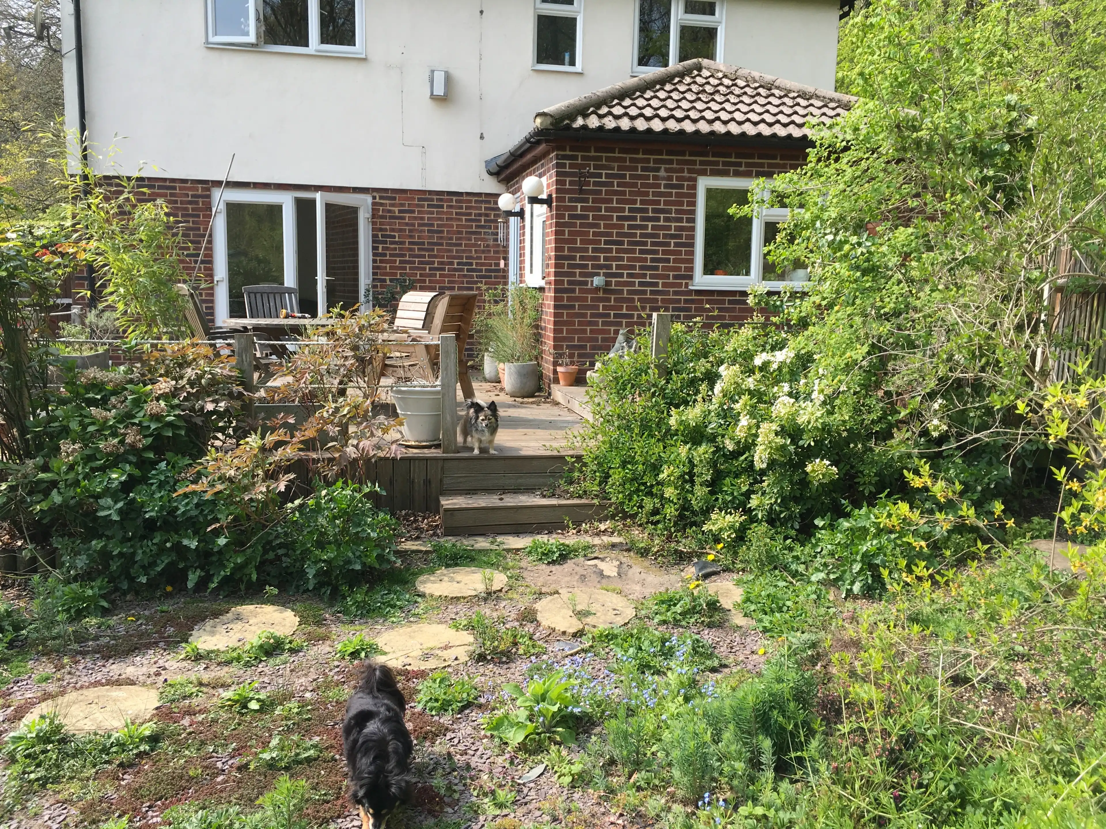 image-5