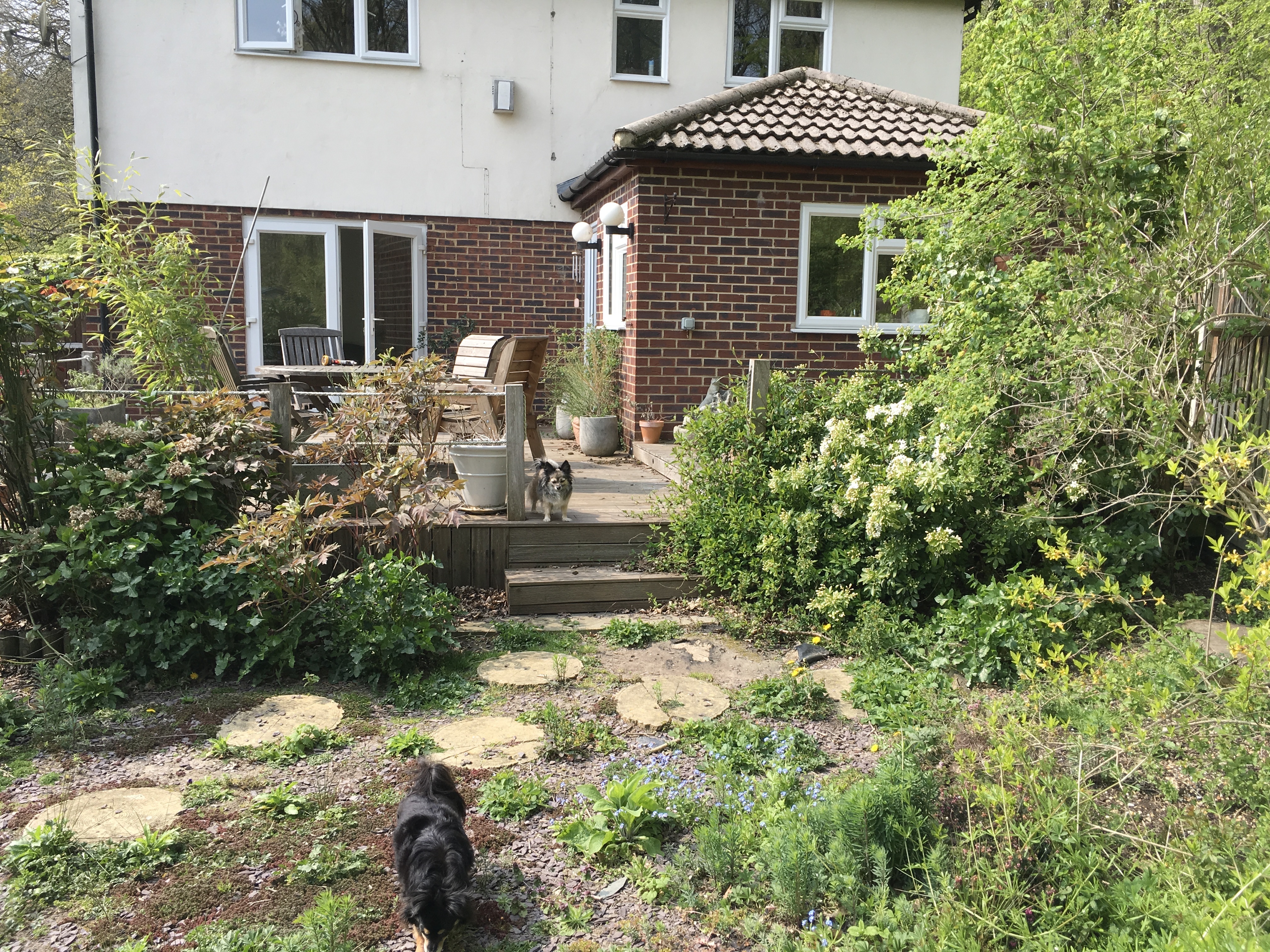 image-26
