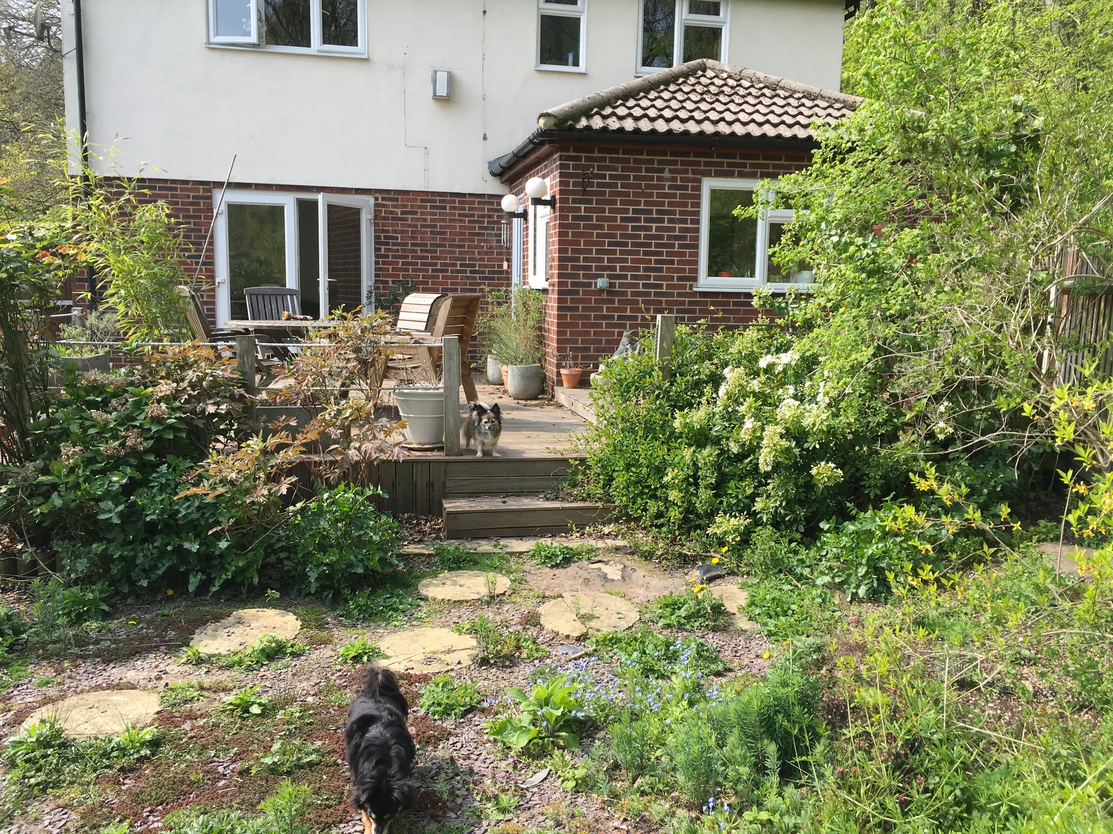 image-26