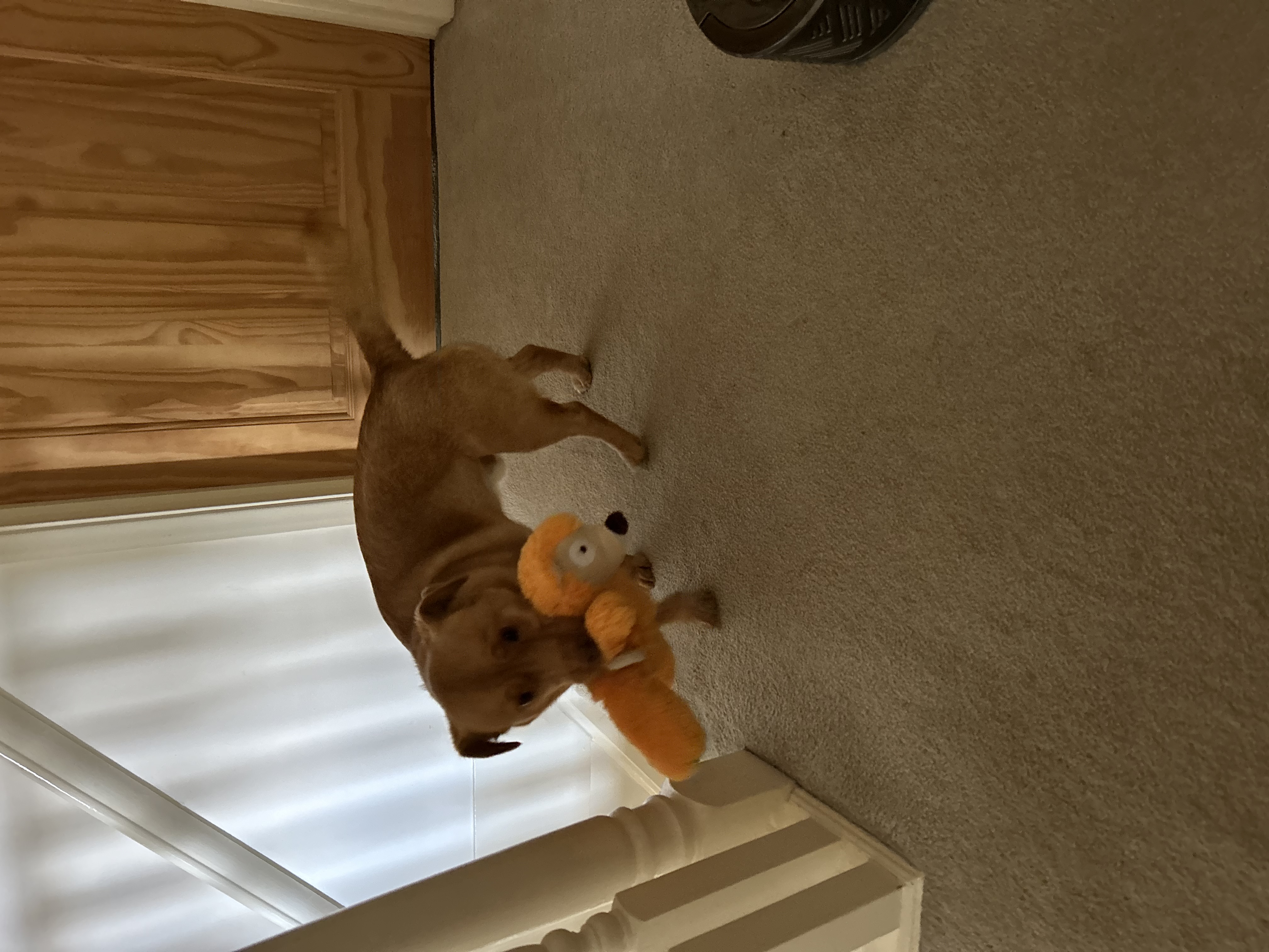 image-13