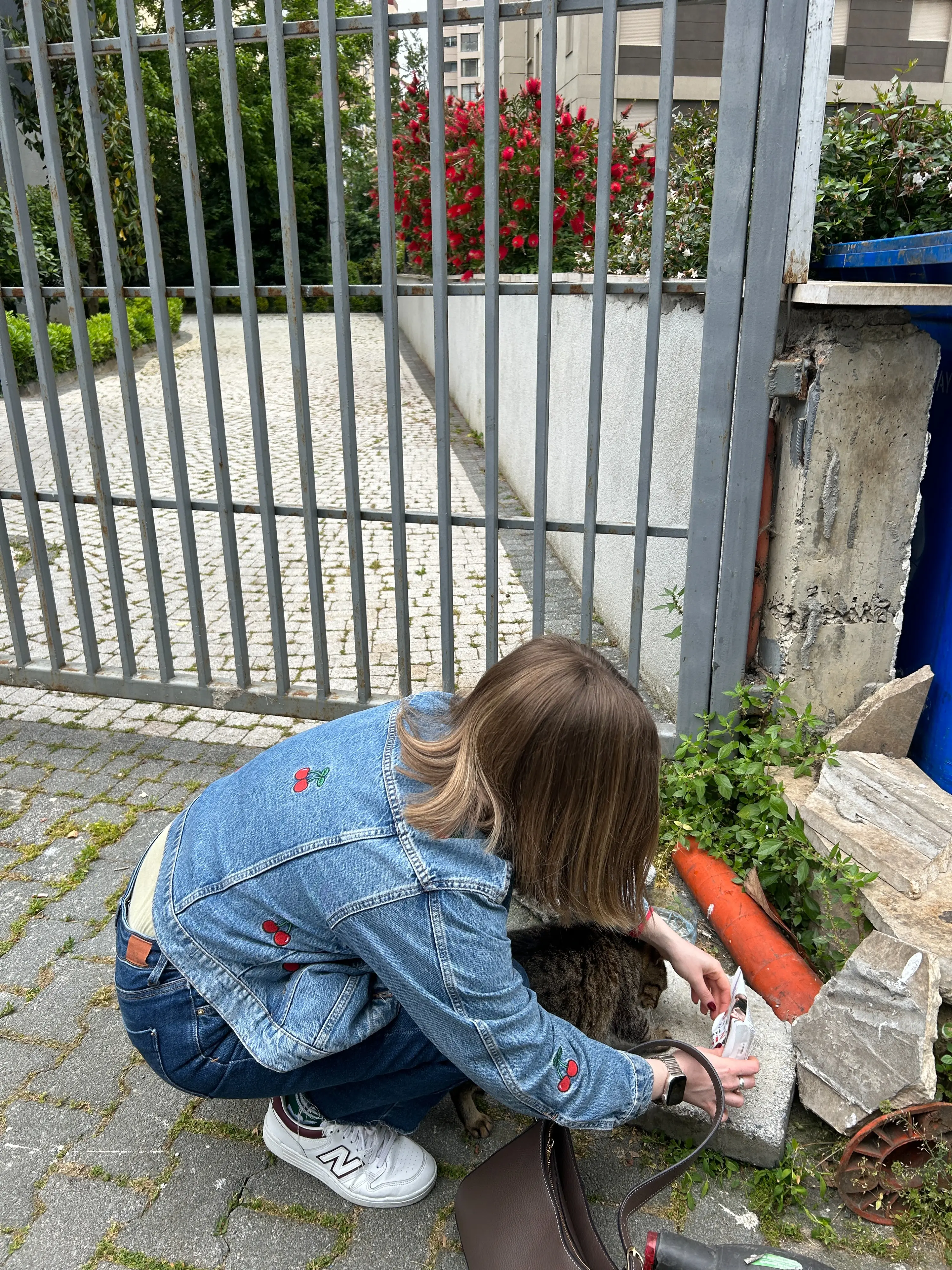 image-3