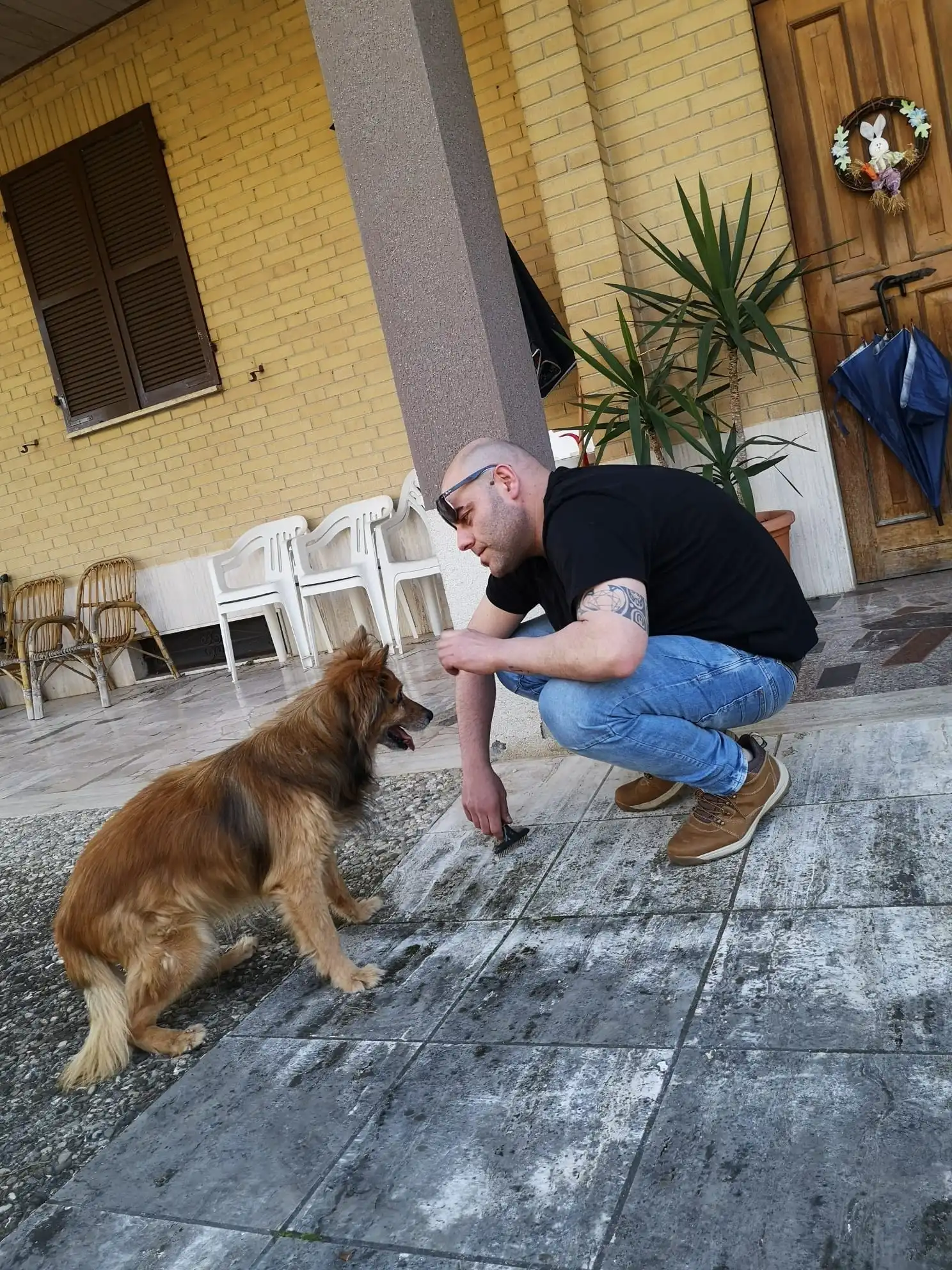 image-8