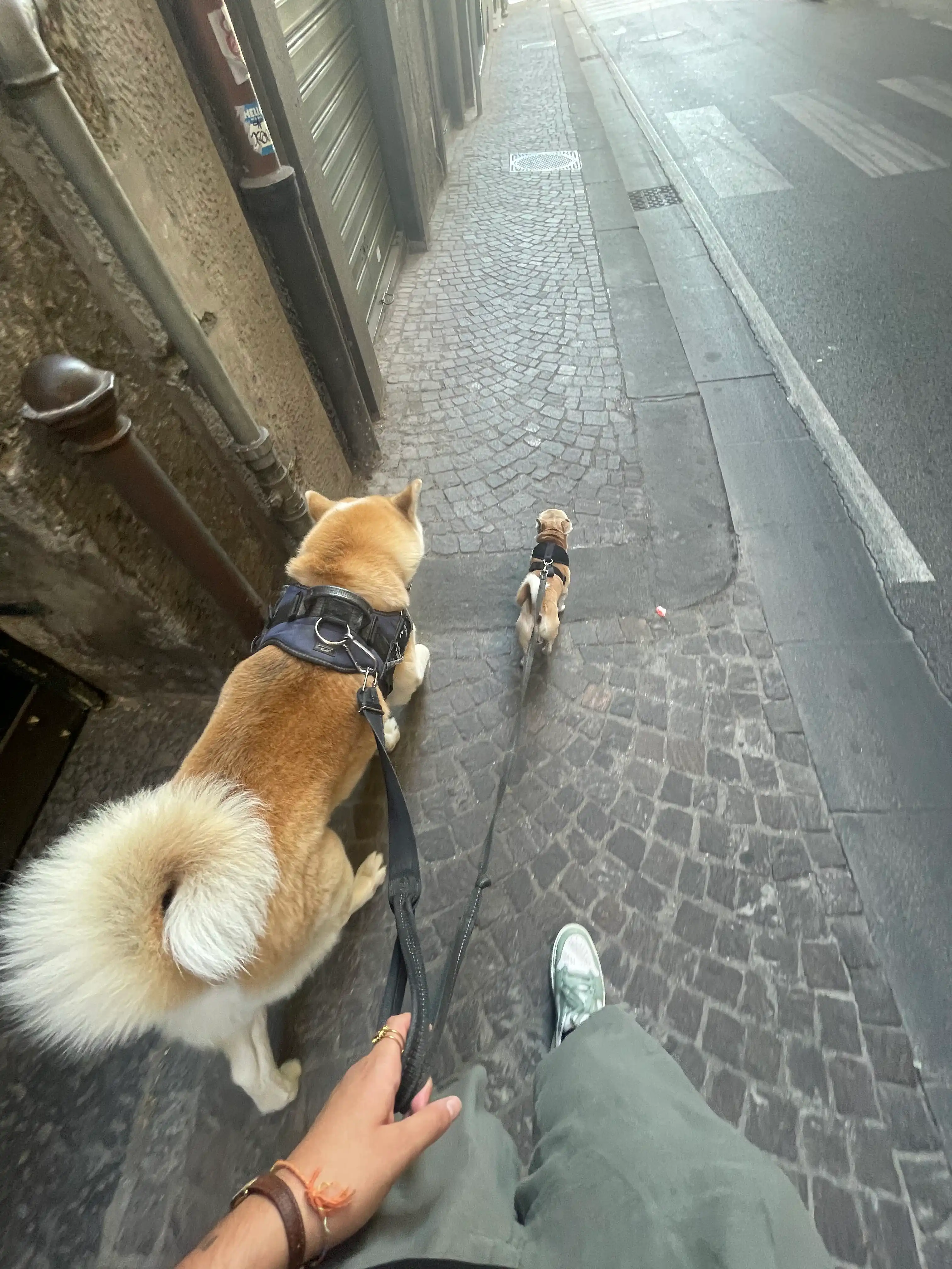 image-12