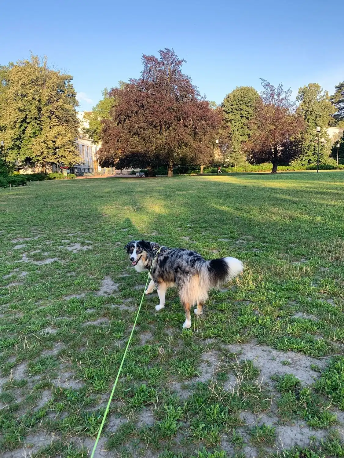 image-16