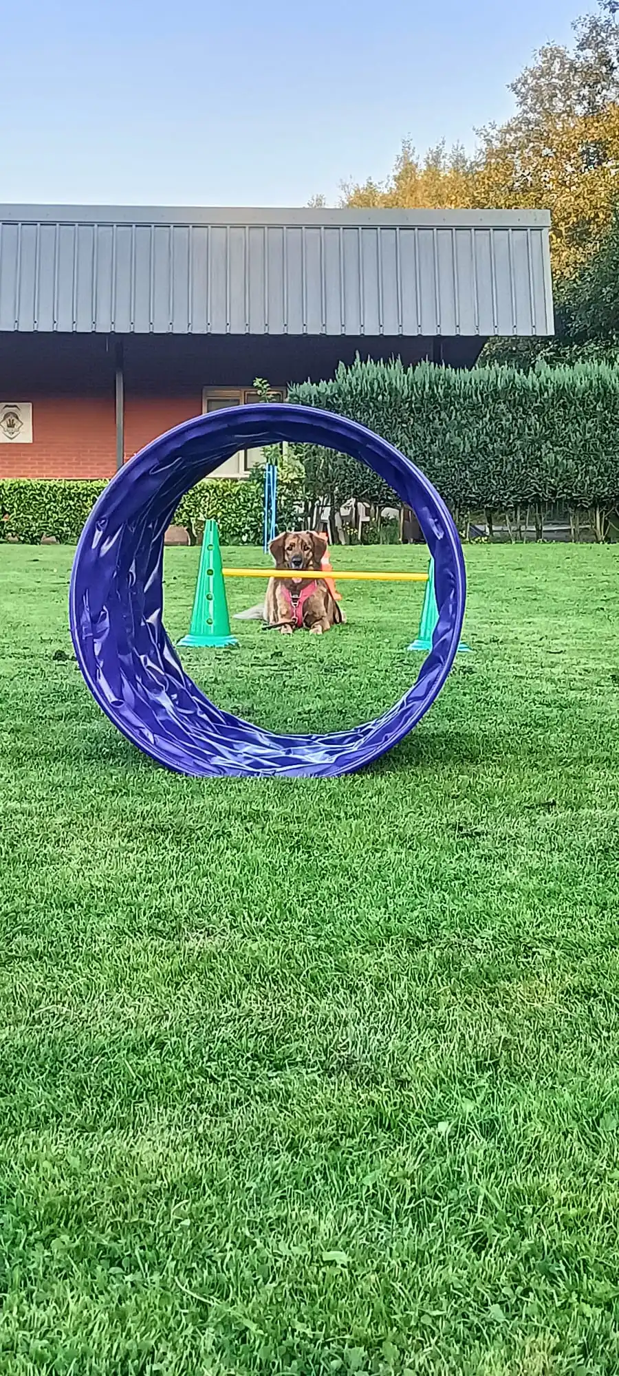 image-5