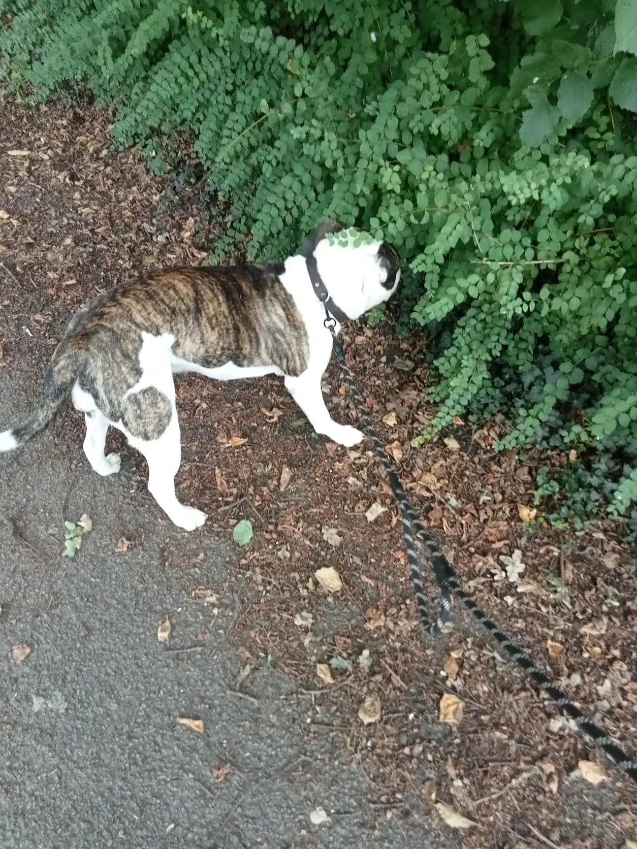 image-15