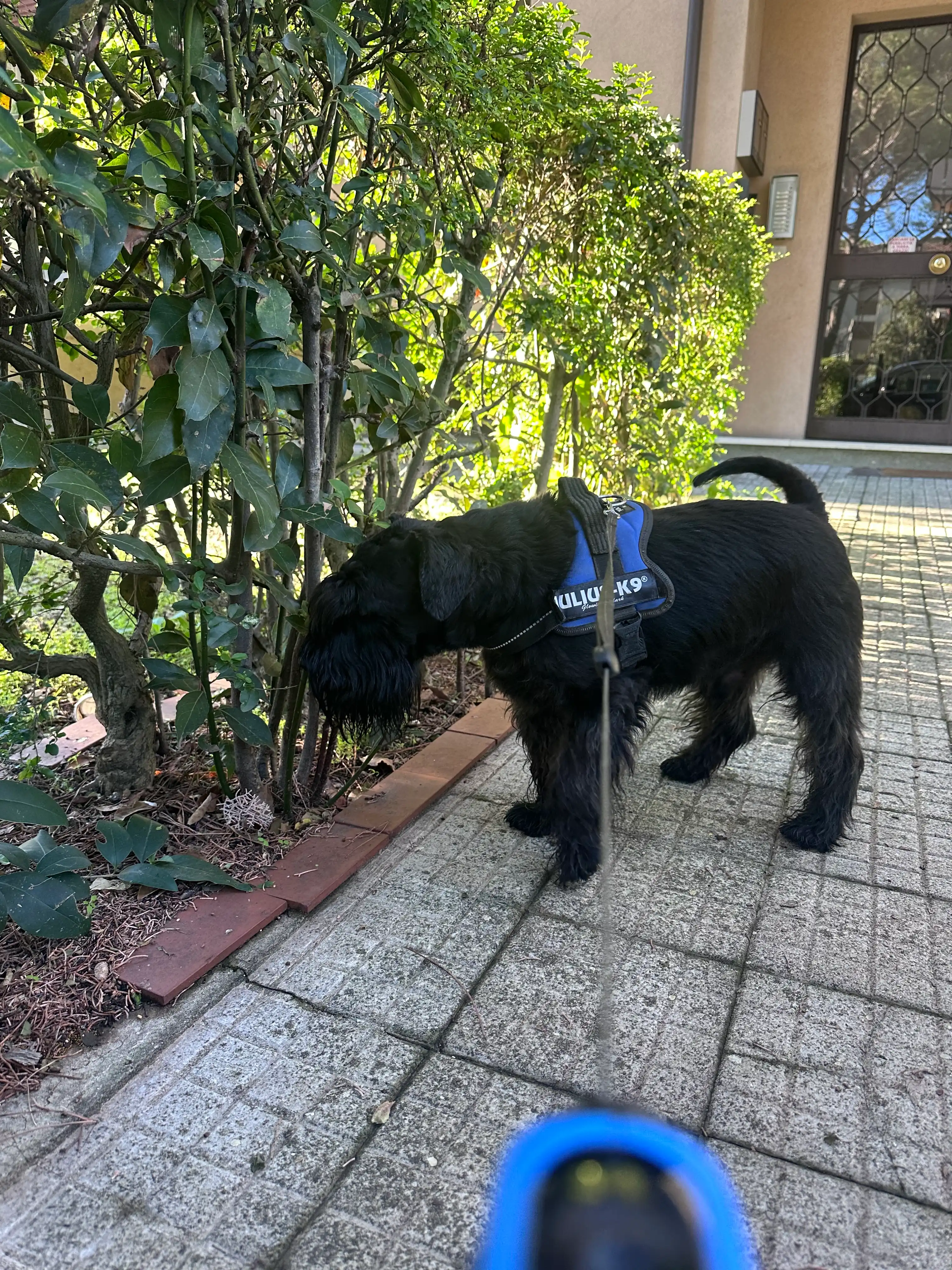 image-6