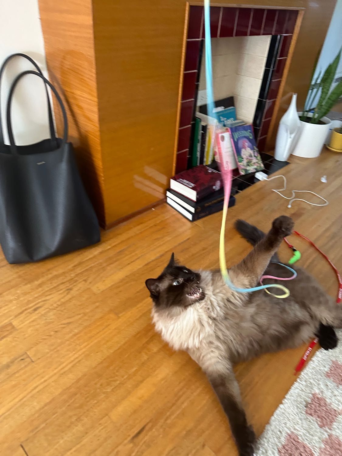 image-12