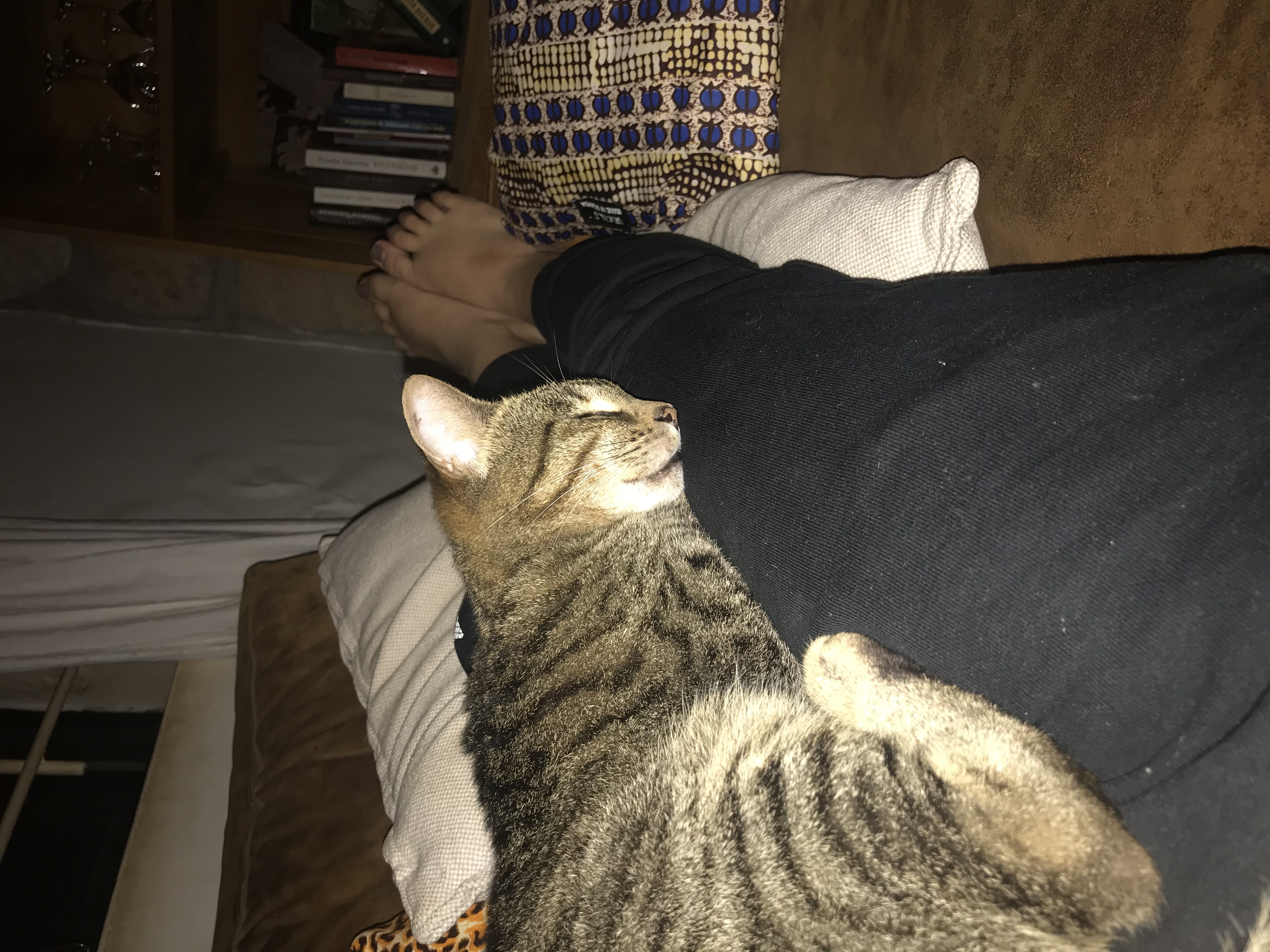 image-7