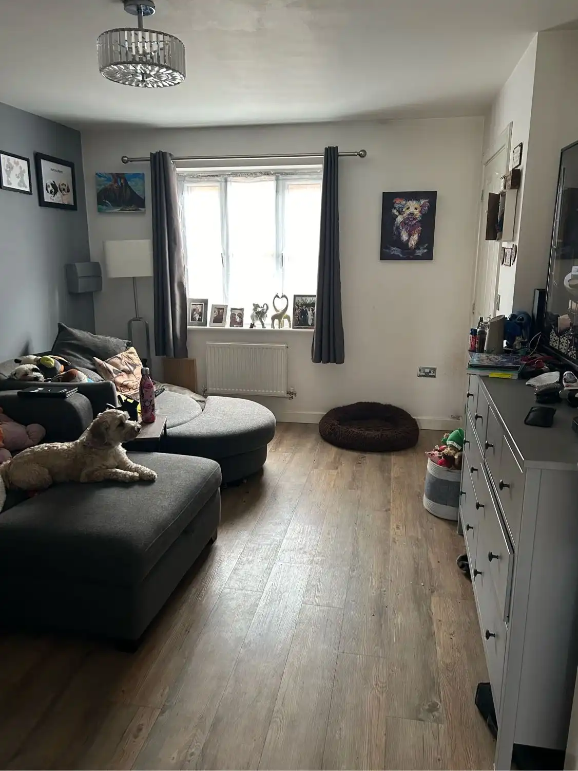 image-10
