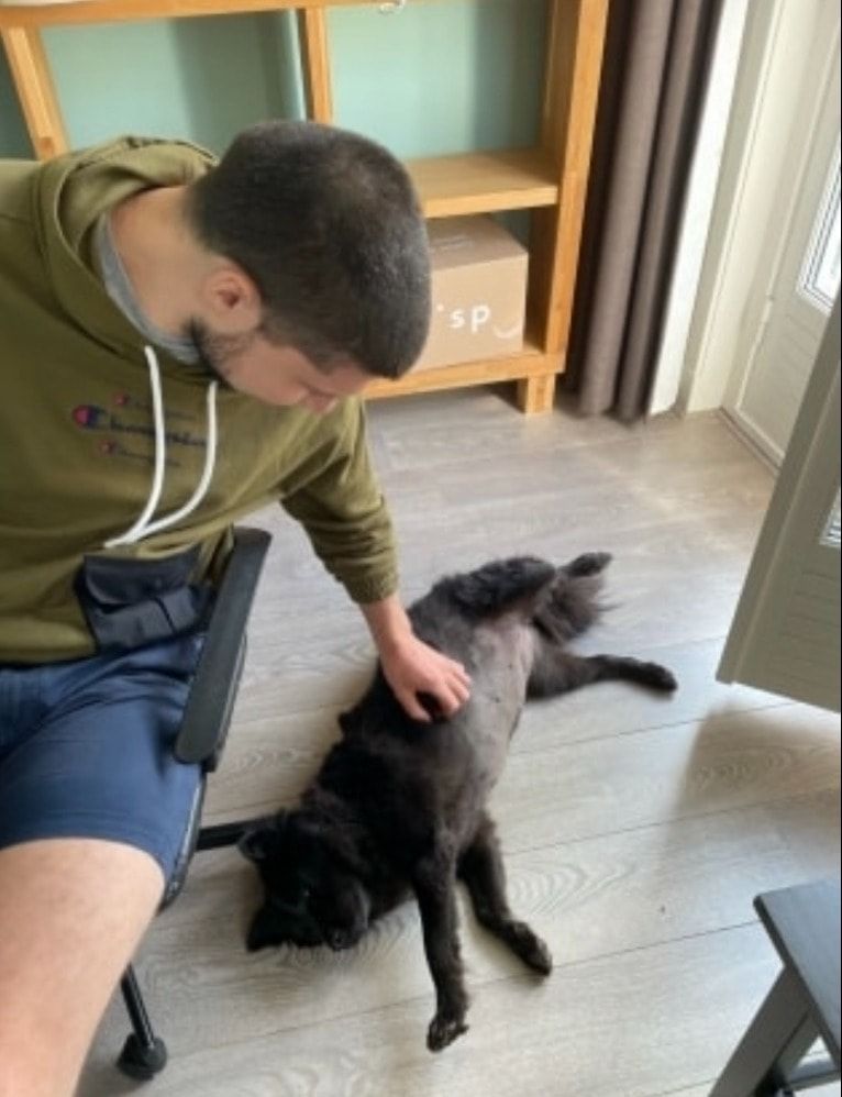 image-11