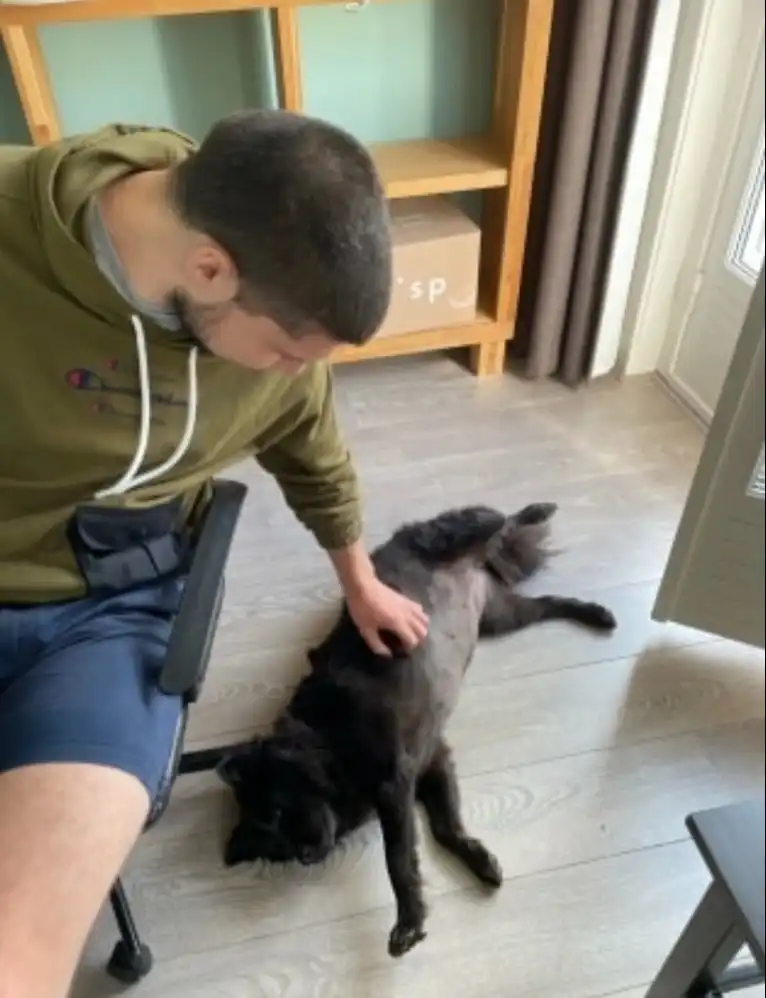image-11