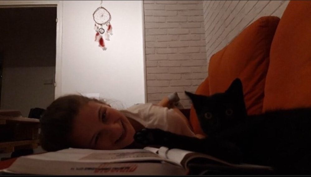 image-8