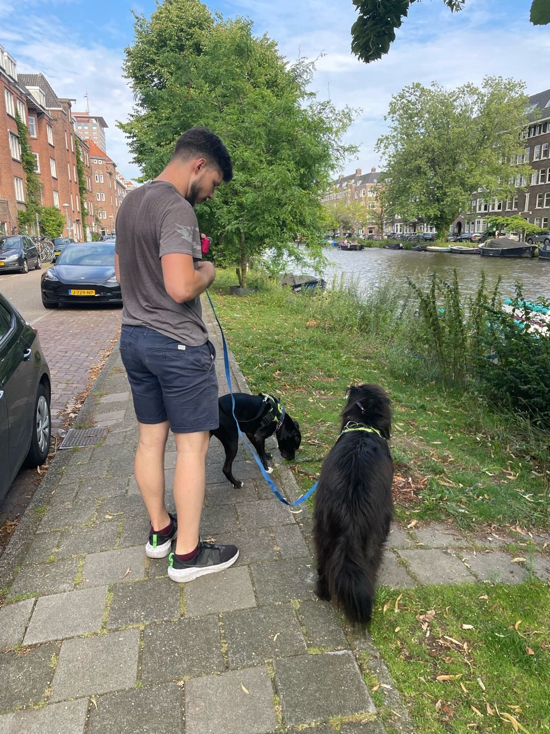 image-22