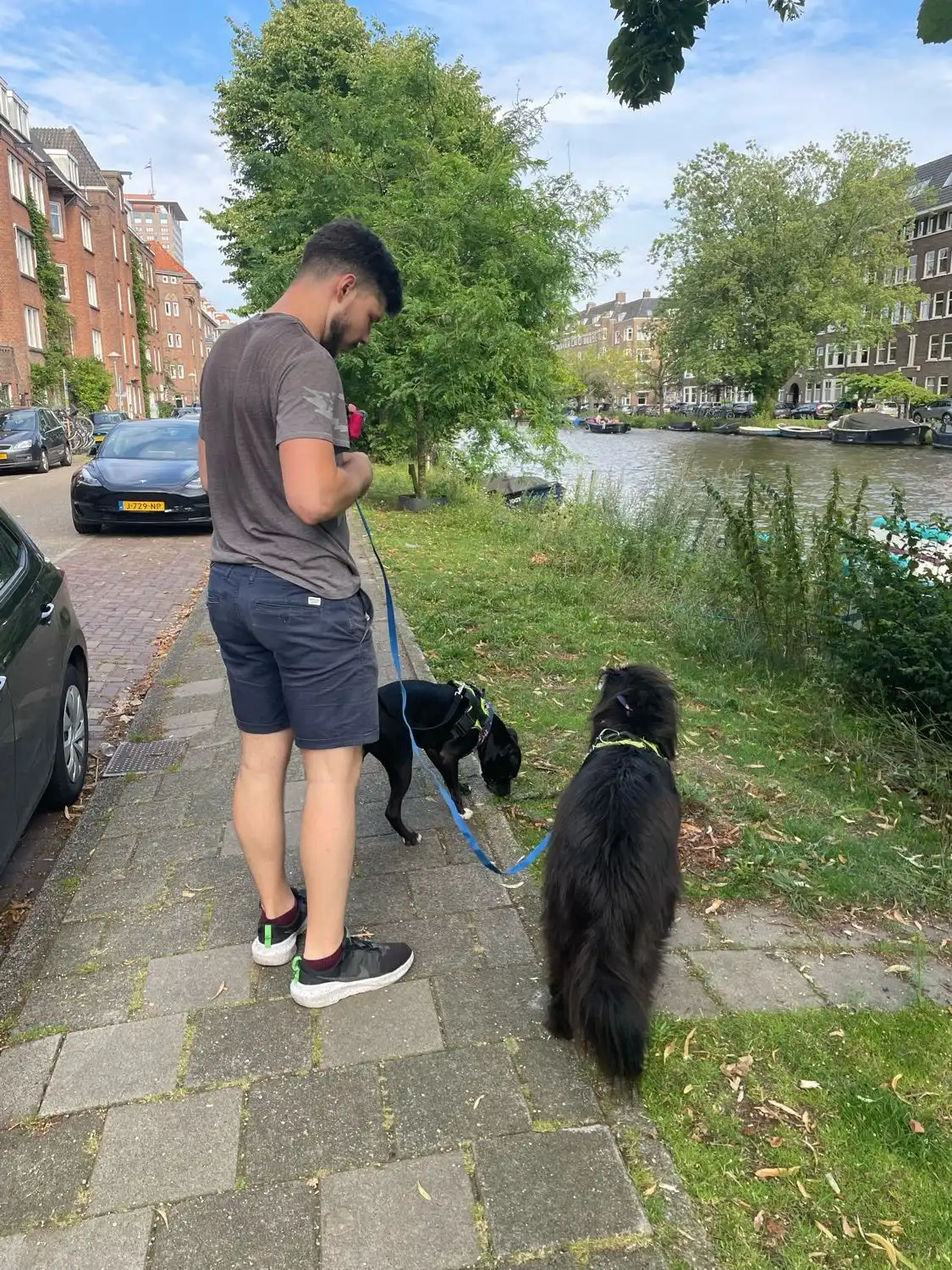 image-22