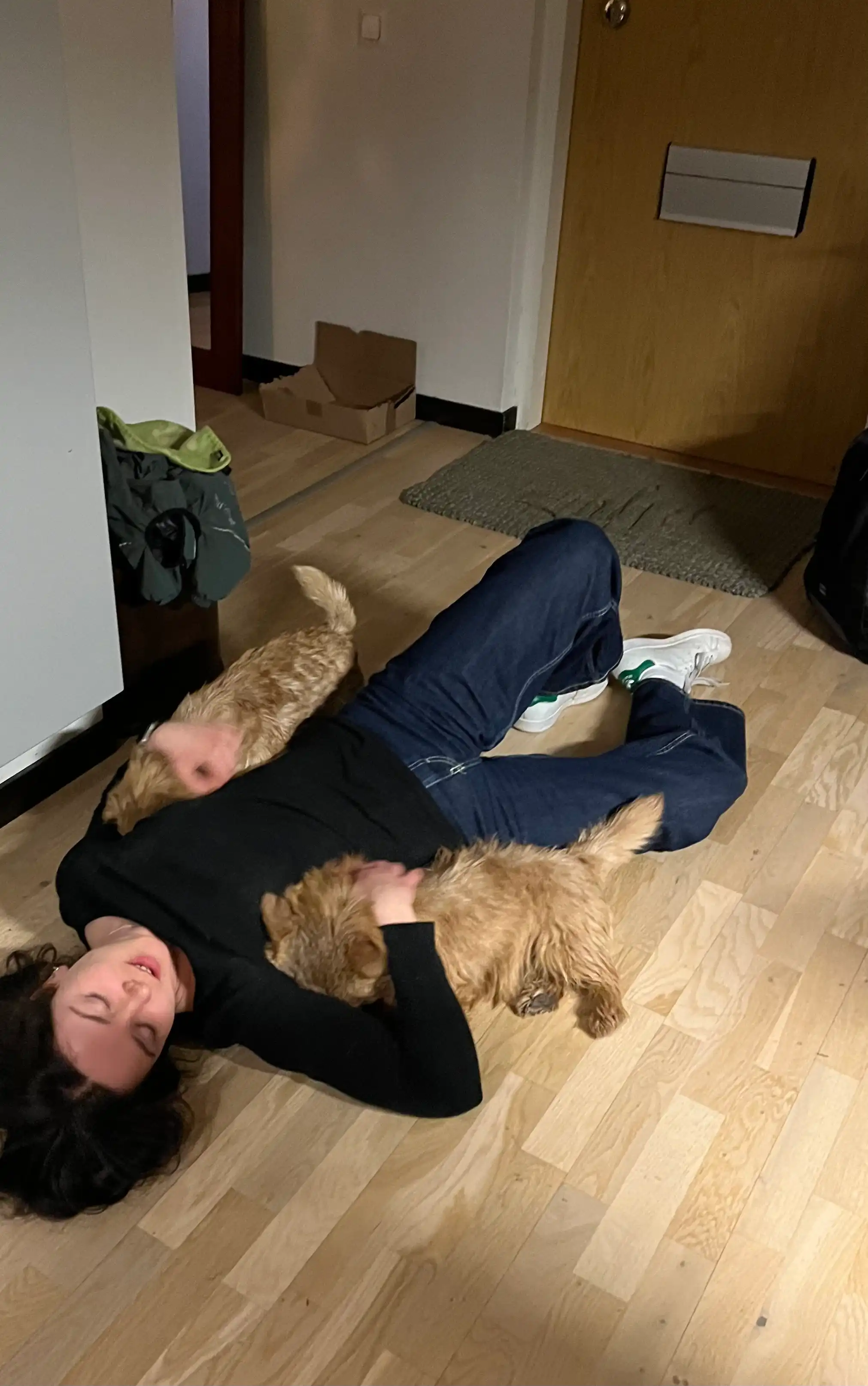 image-5