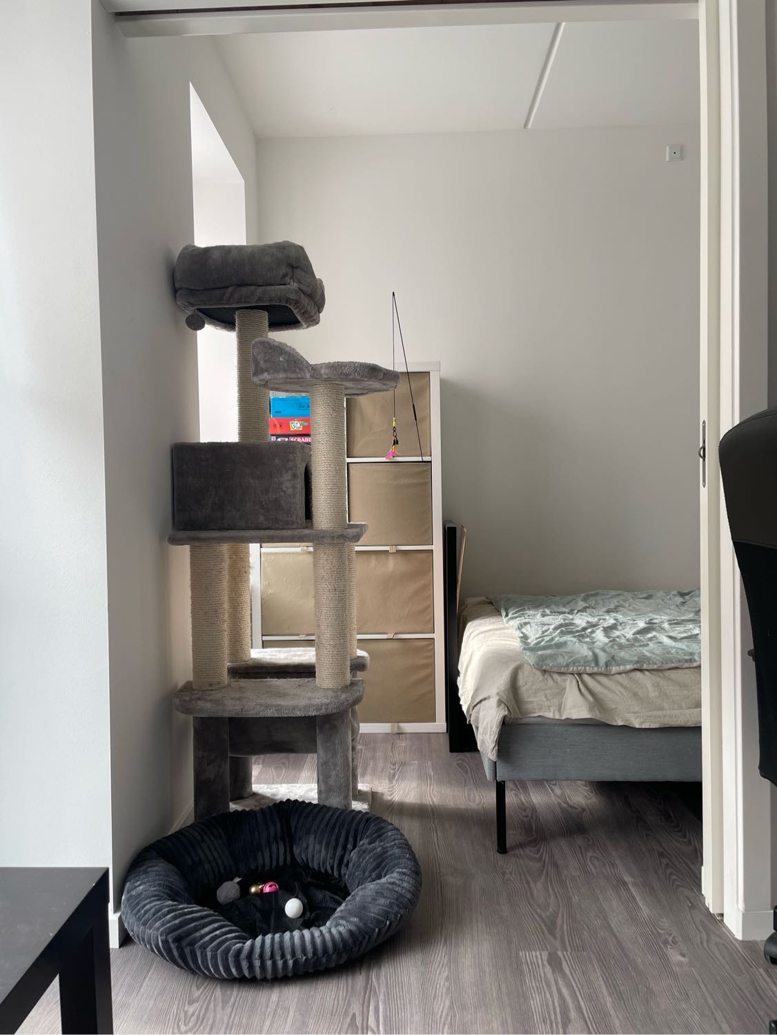 image-11