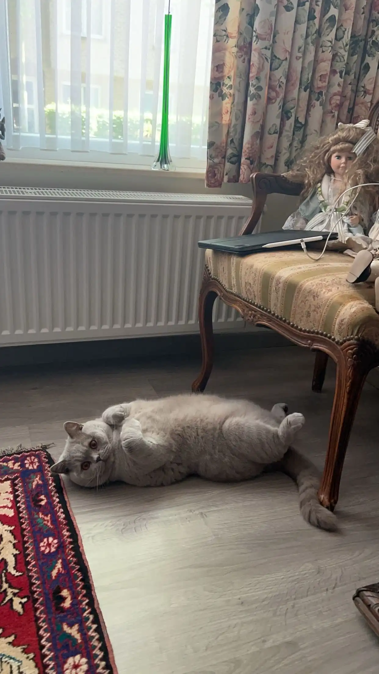 image-5
