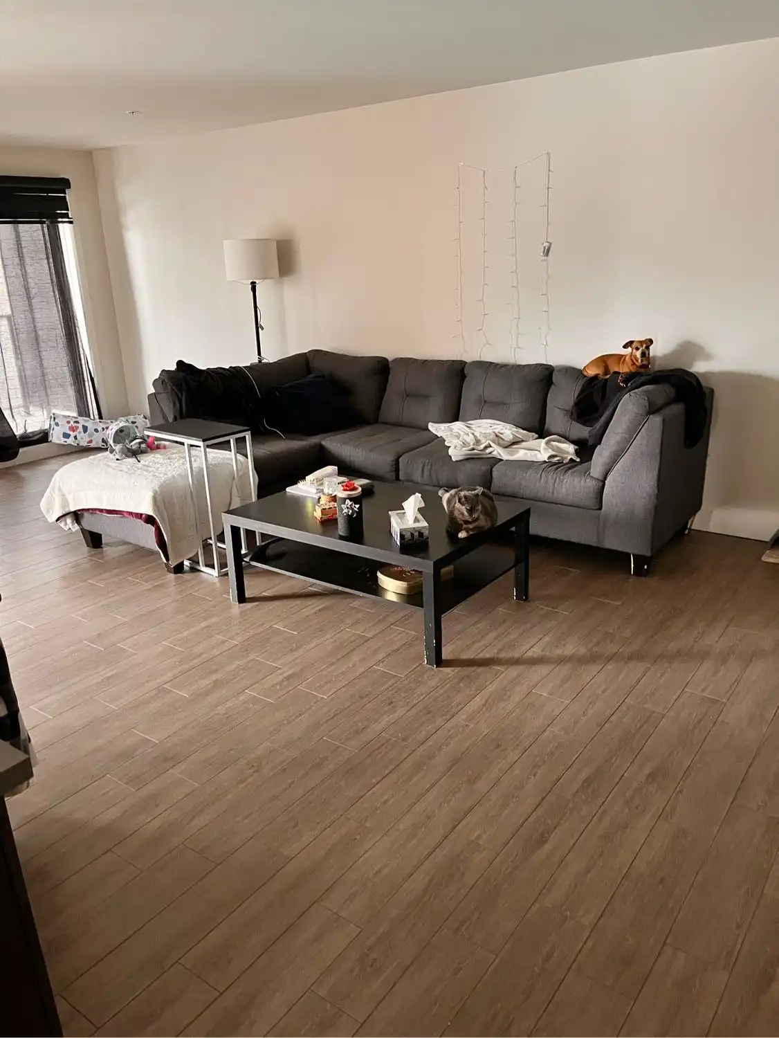 image-13