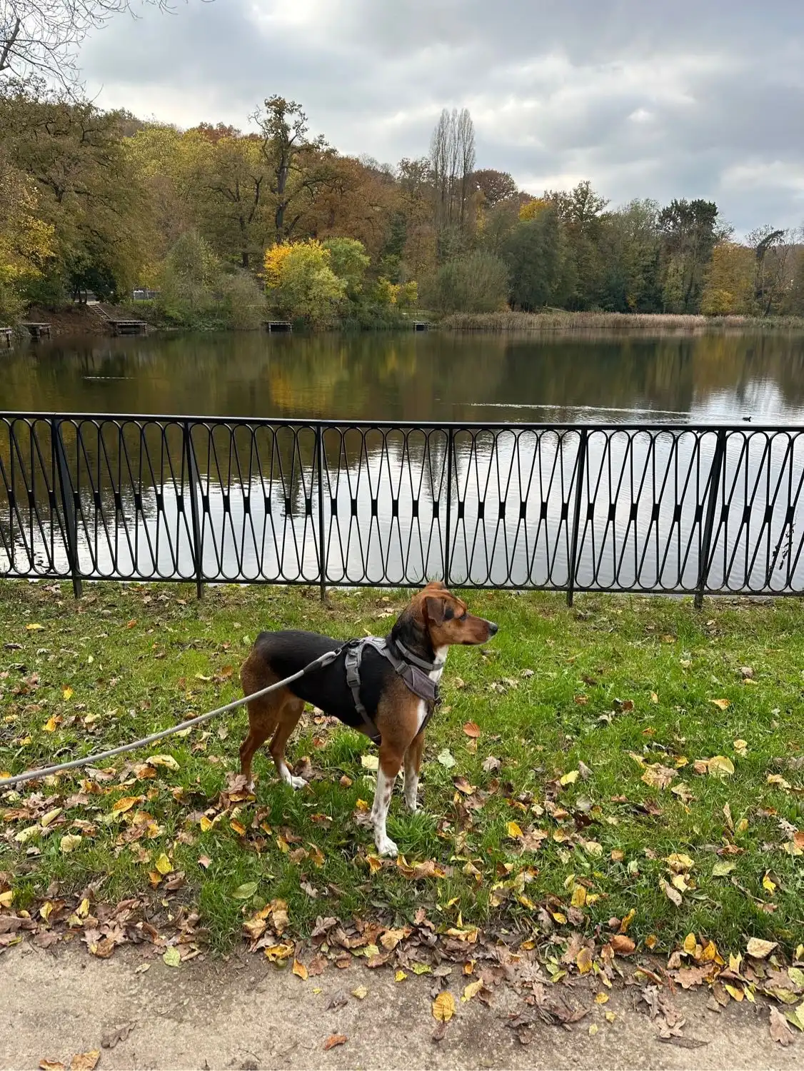 image-9