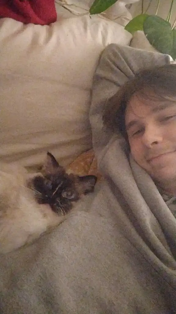 image-6