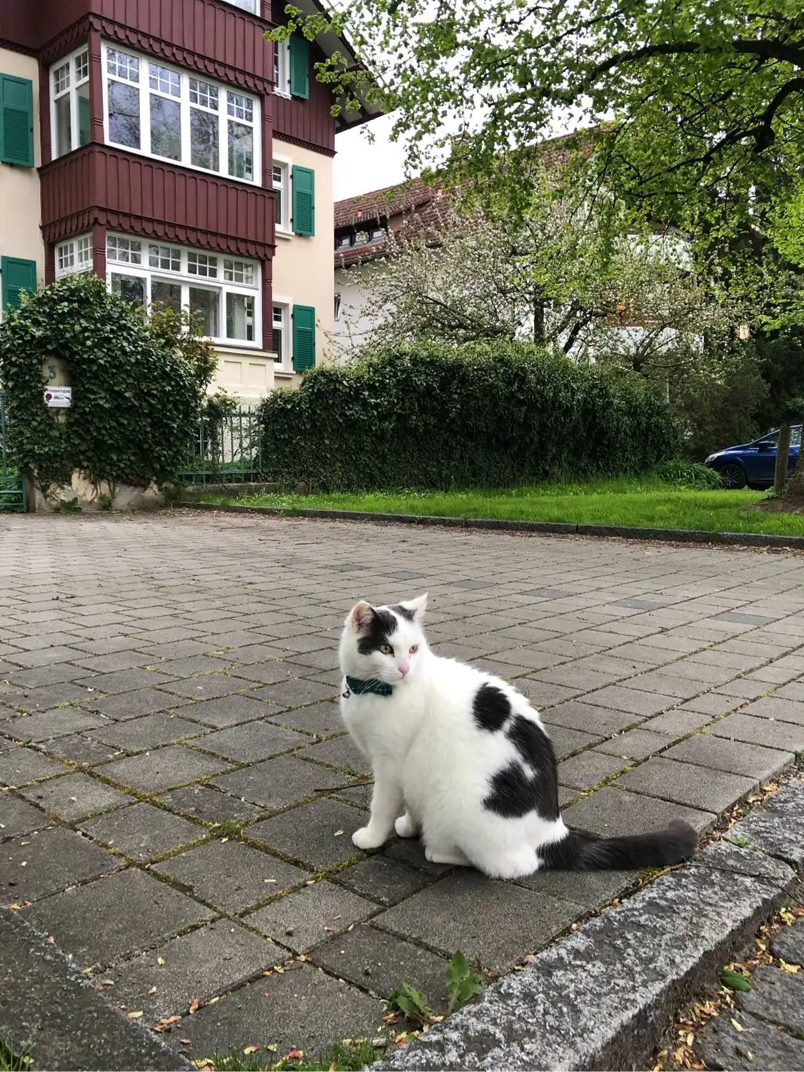 image-7