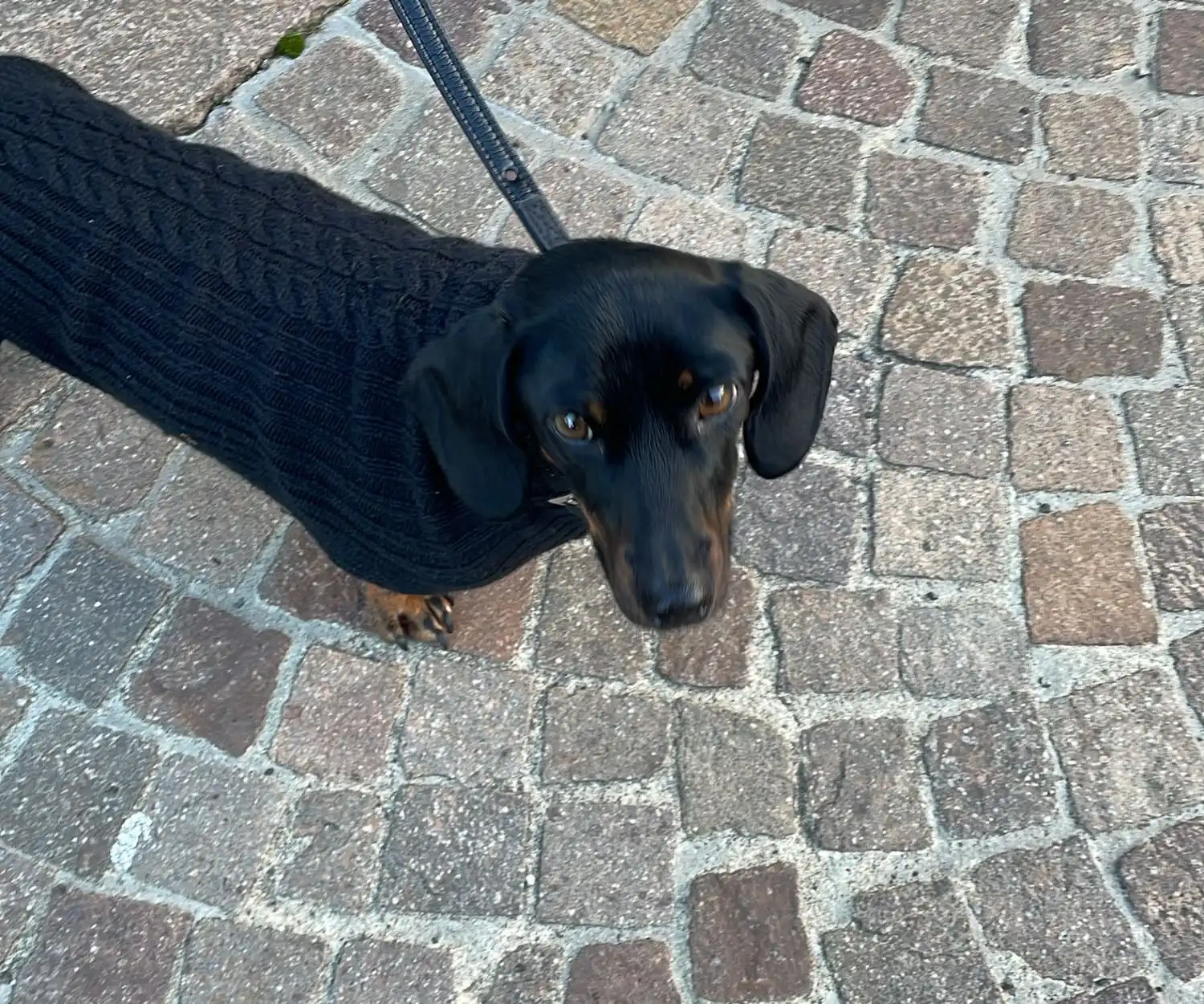 image-13