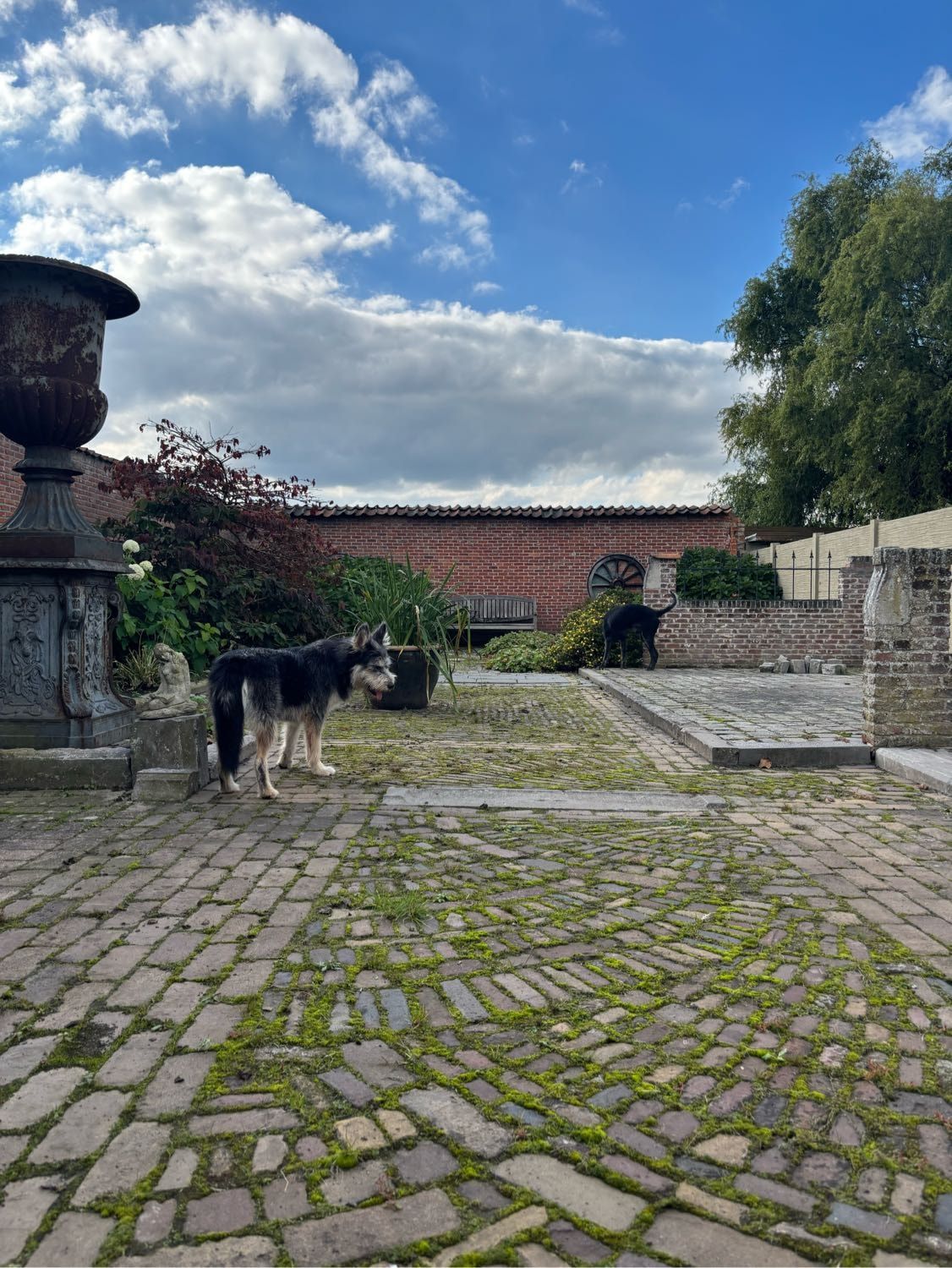 image-2
