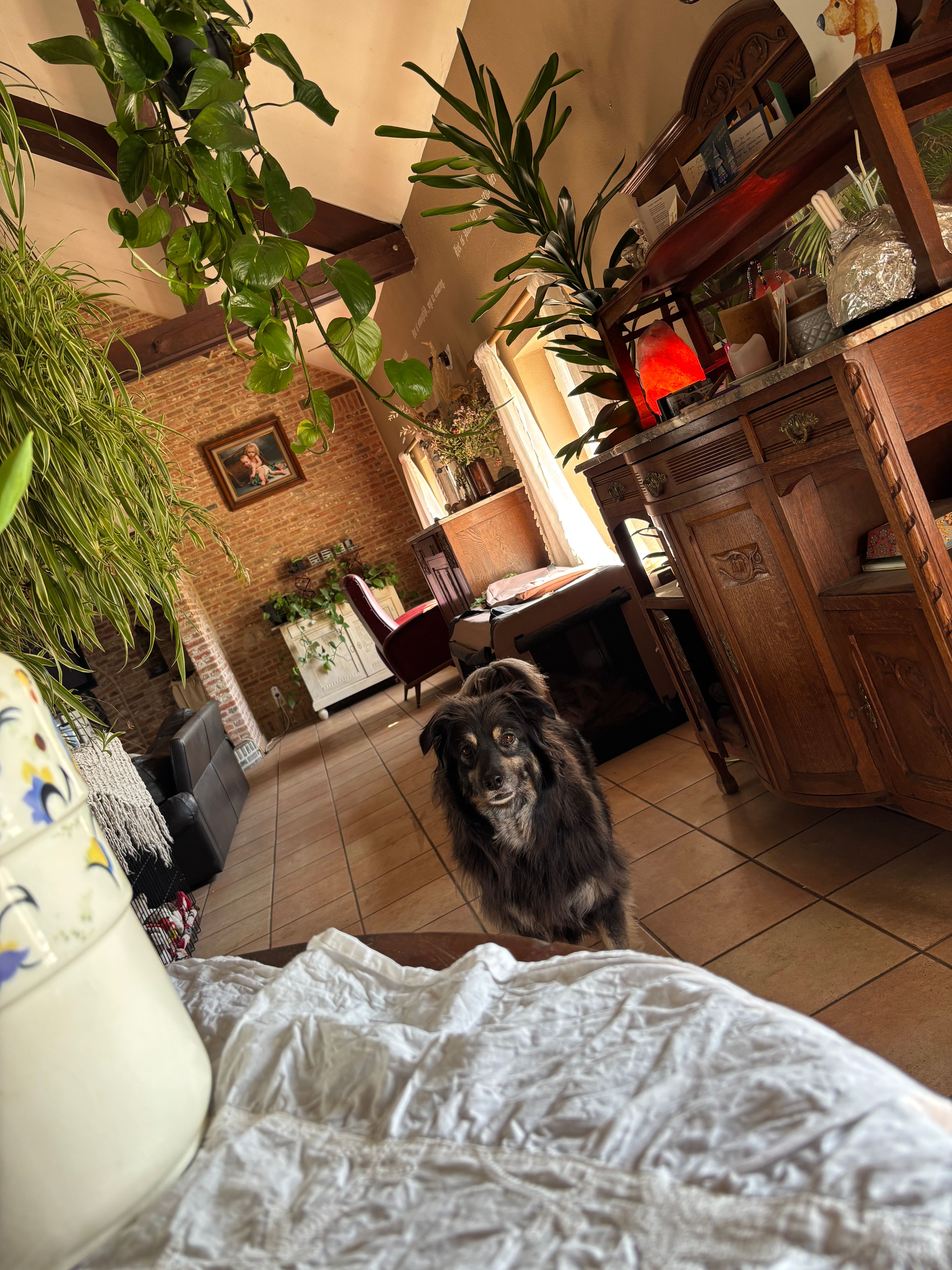 image-21