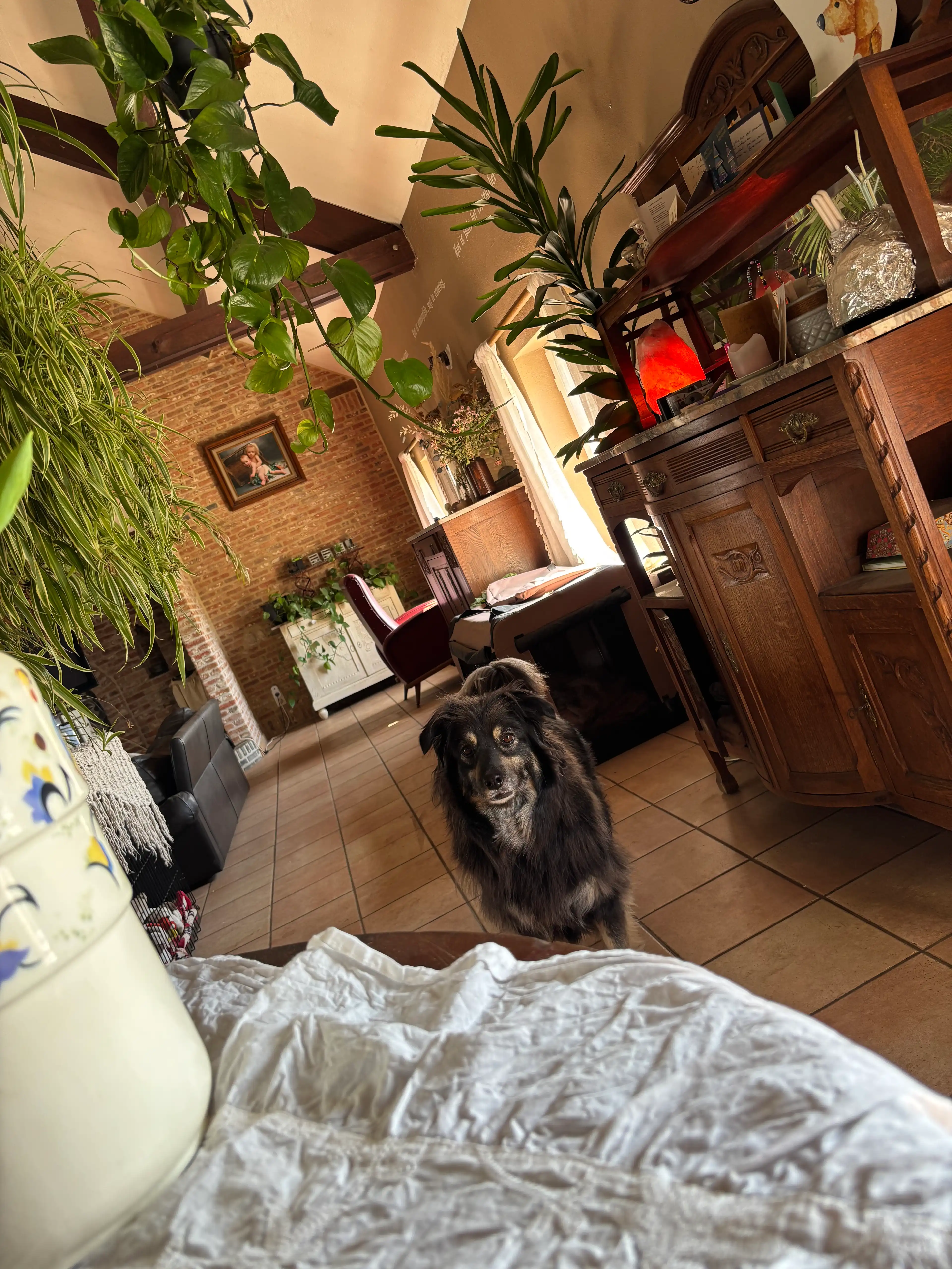 image-21