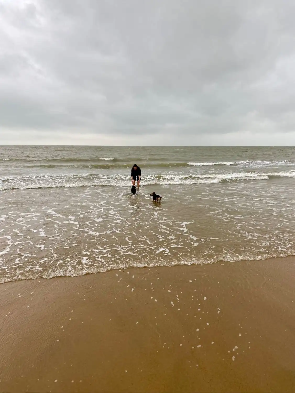 image-11