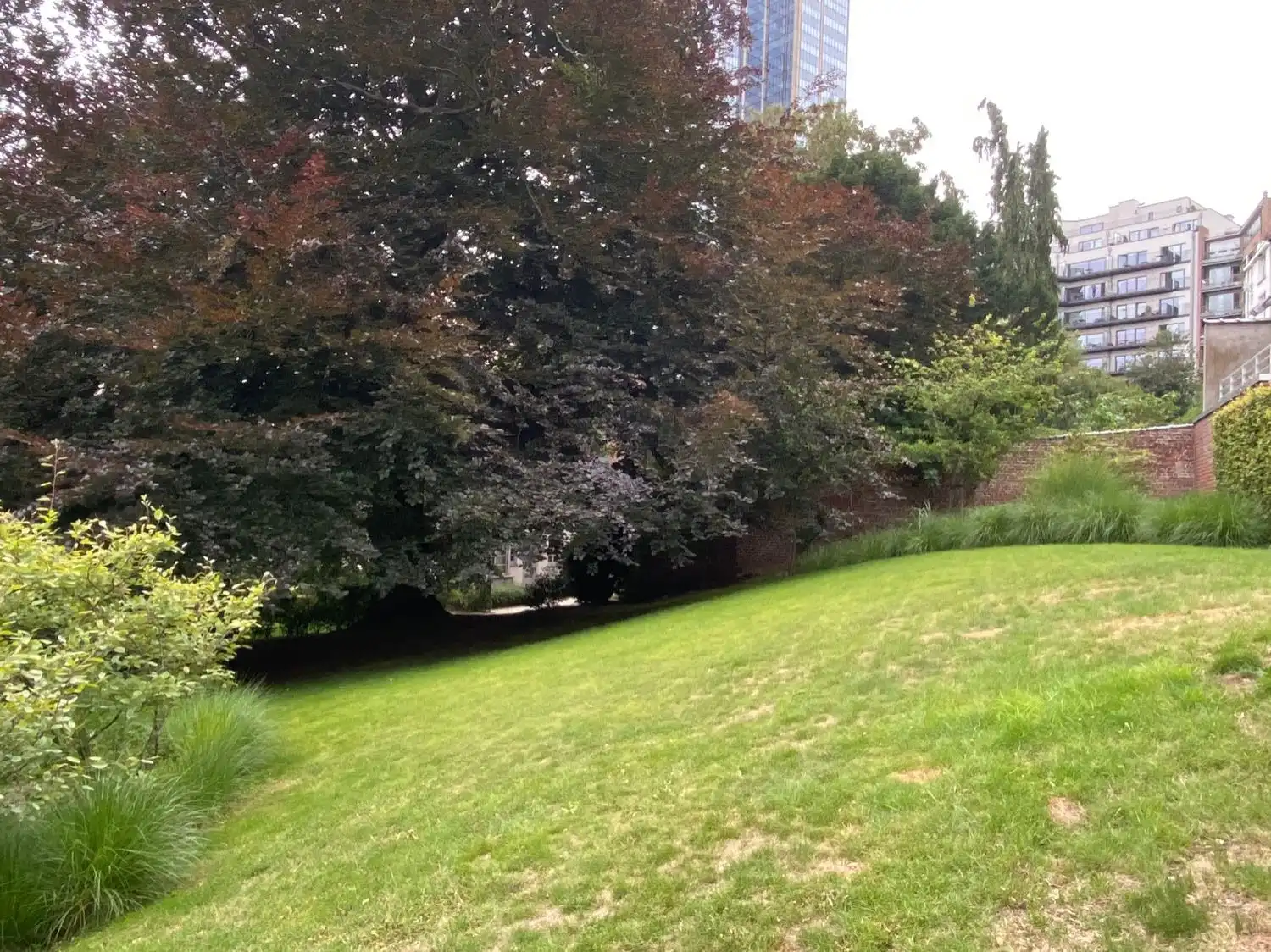 image-14