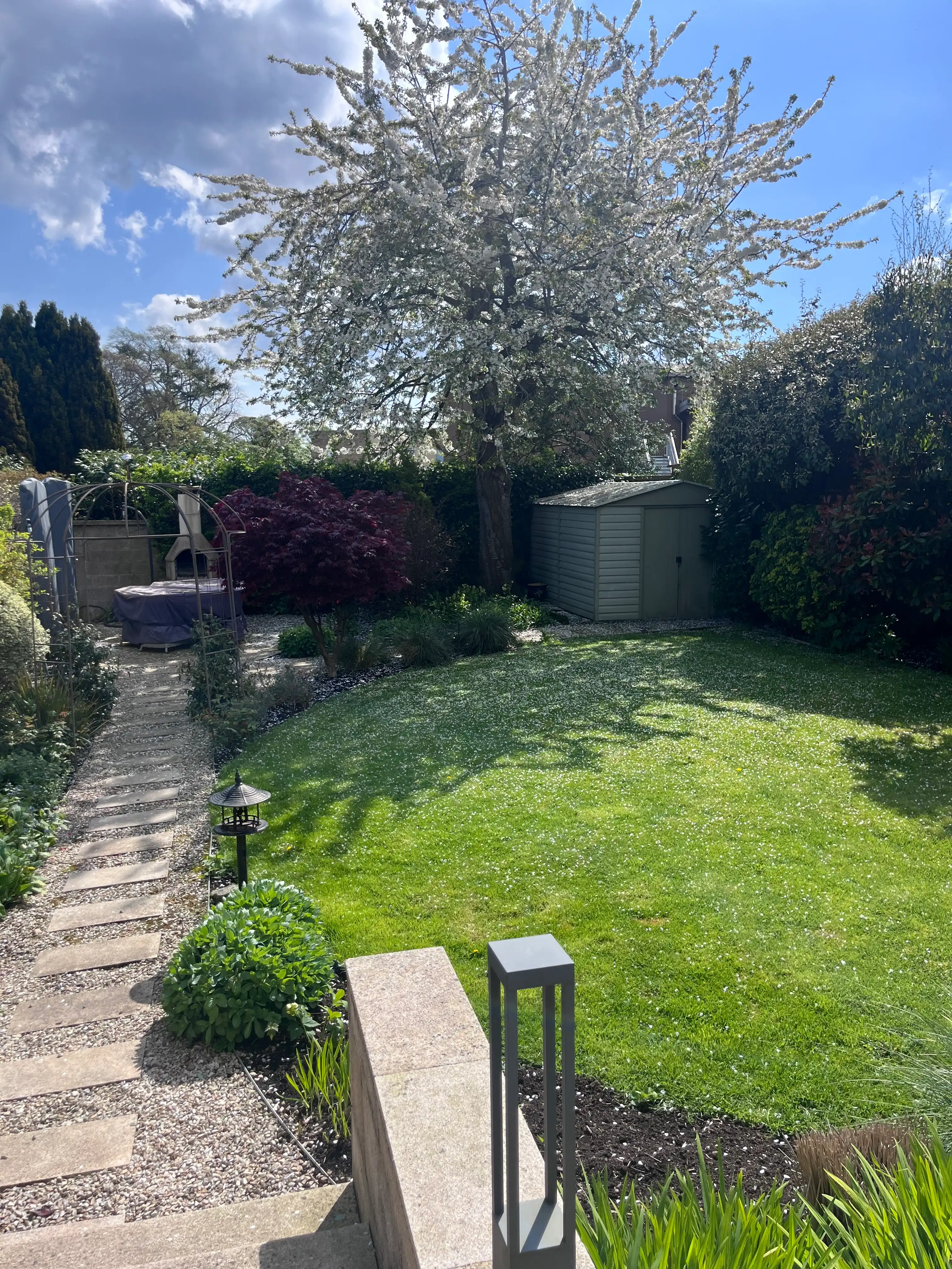 image-13