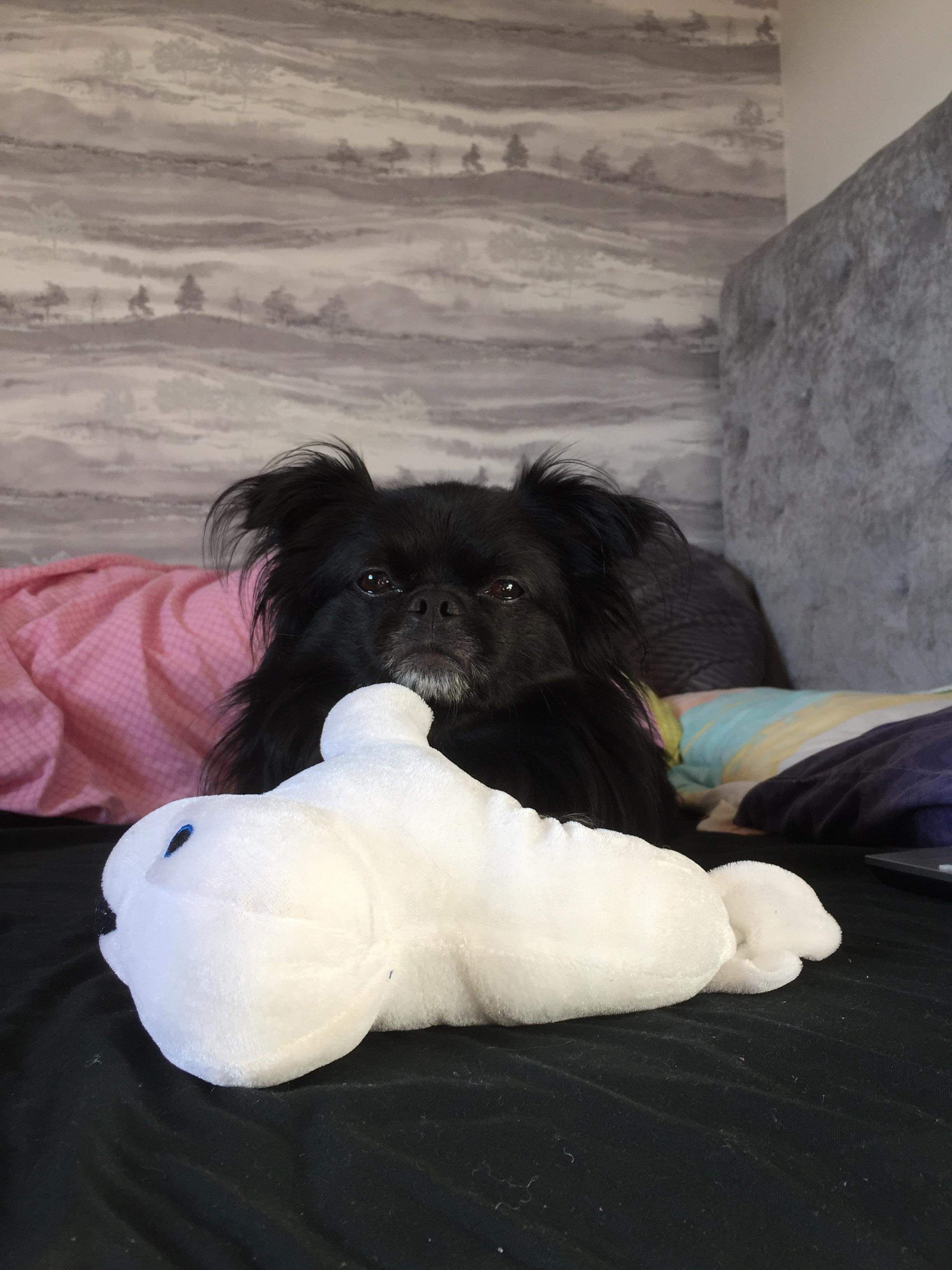 image-6