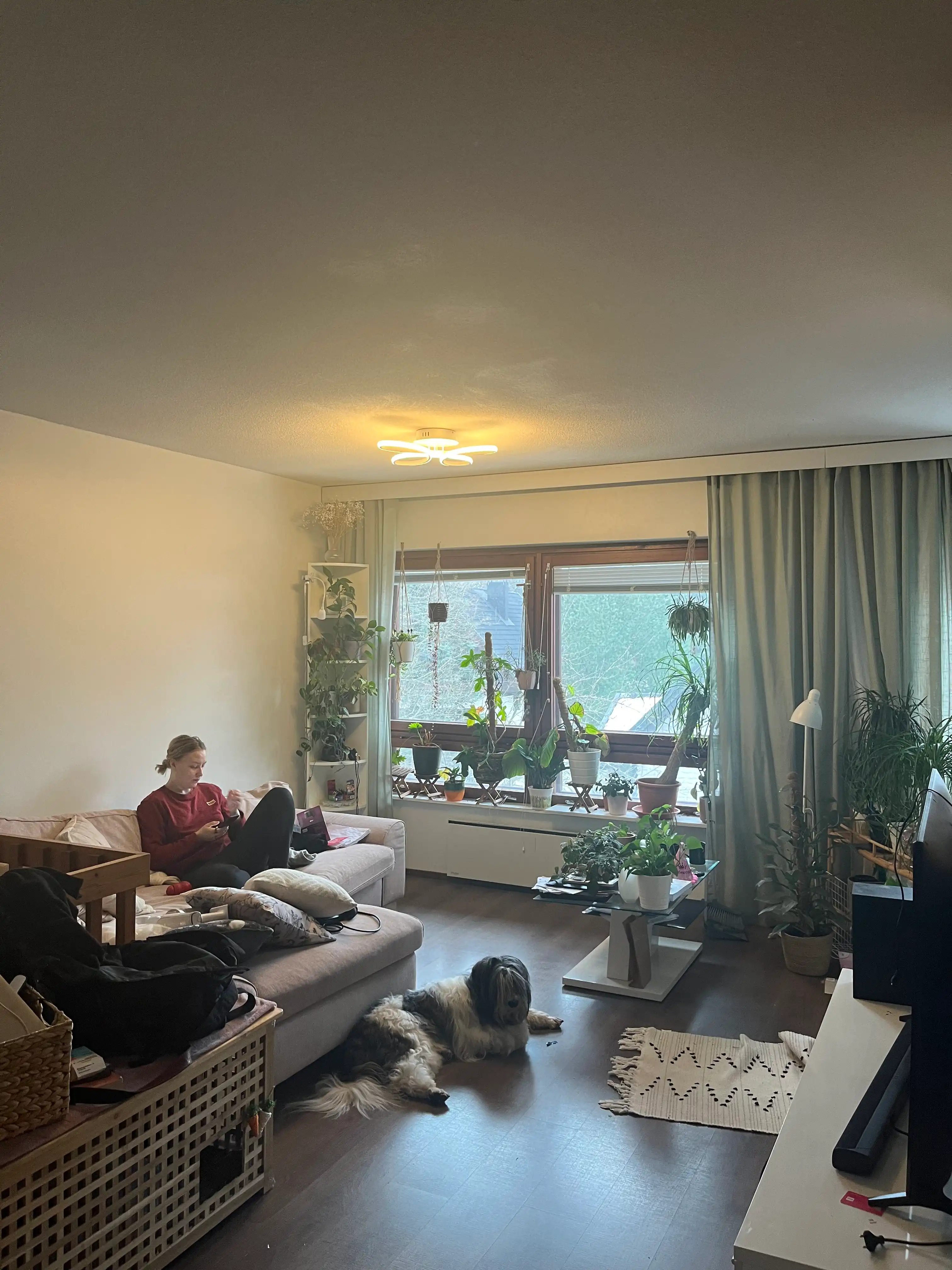 image-12